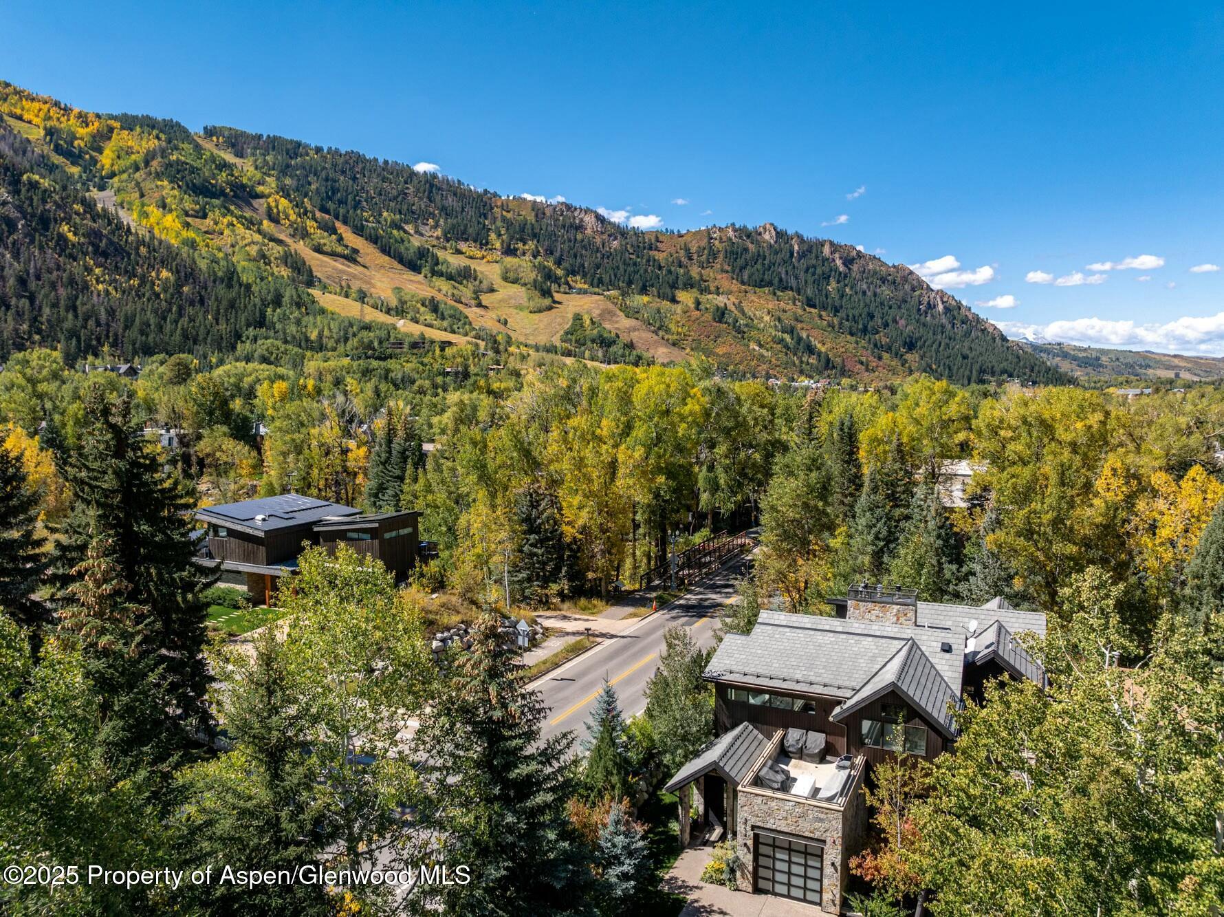 1154 E Cooper Avenue Aspen CO 81611