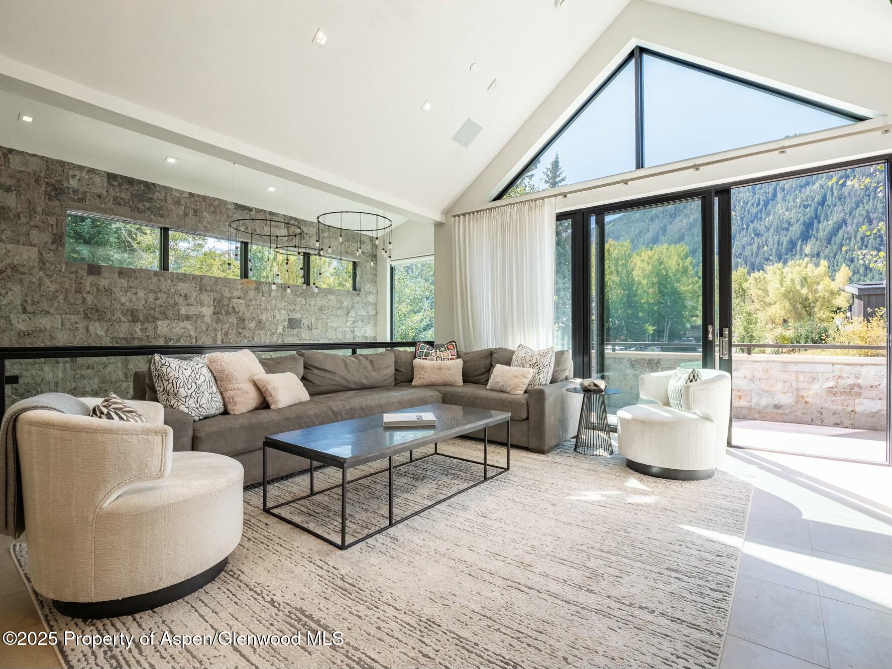 1154 E Cooper Avenue Aspen CO 81611