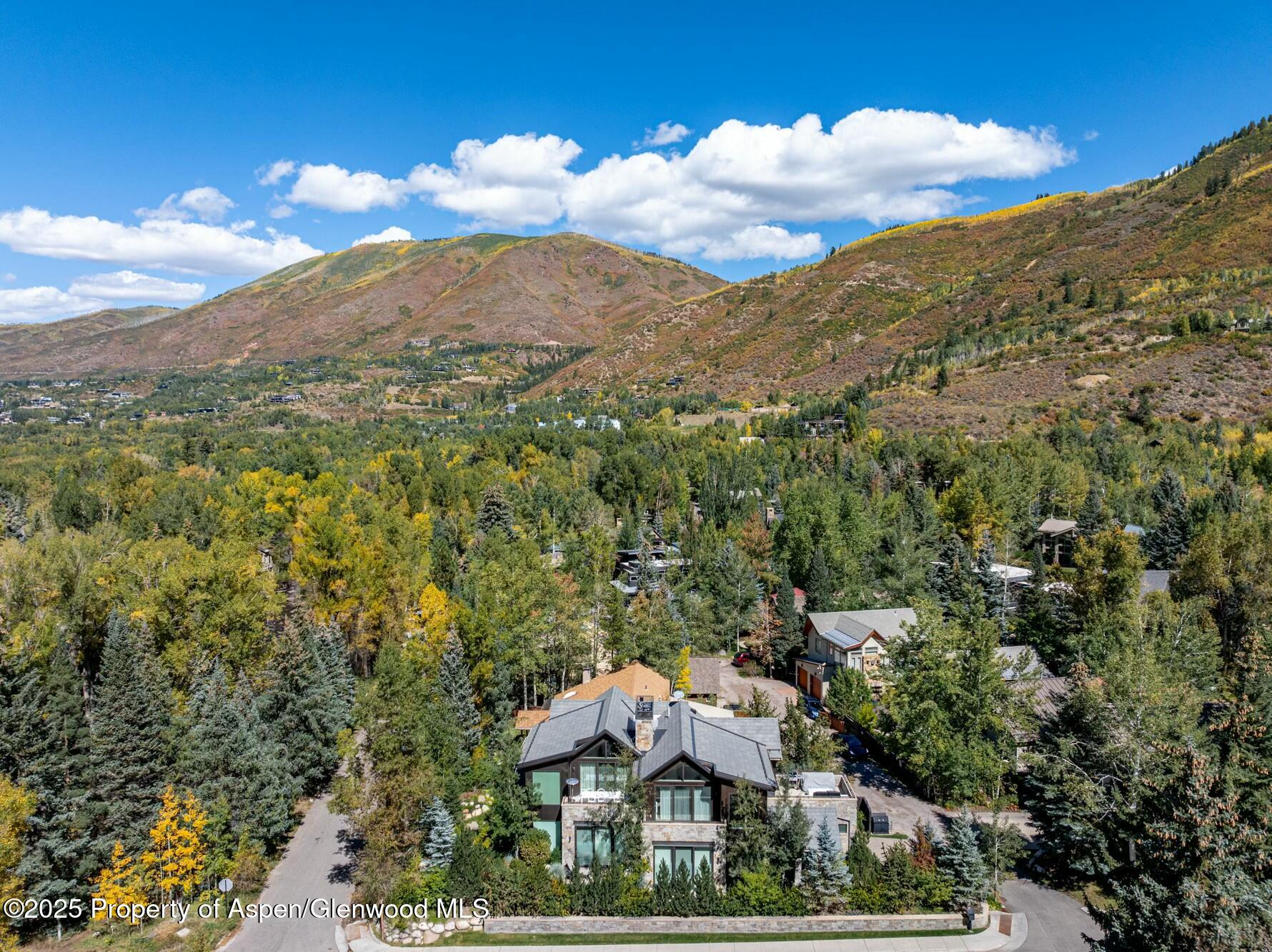 1154 E Cooper Avenue Aspen CO 81611