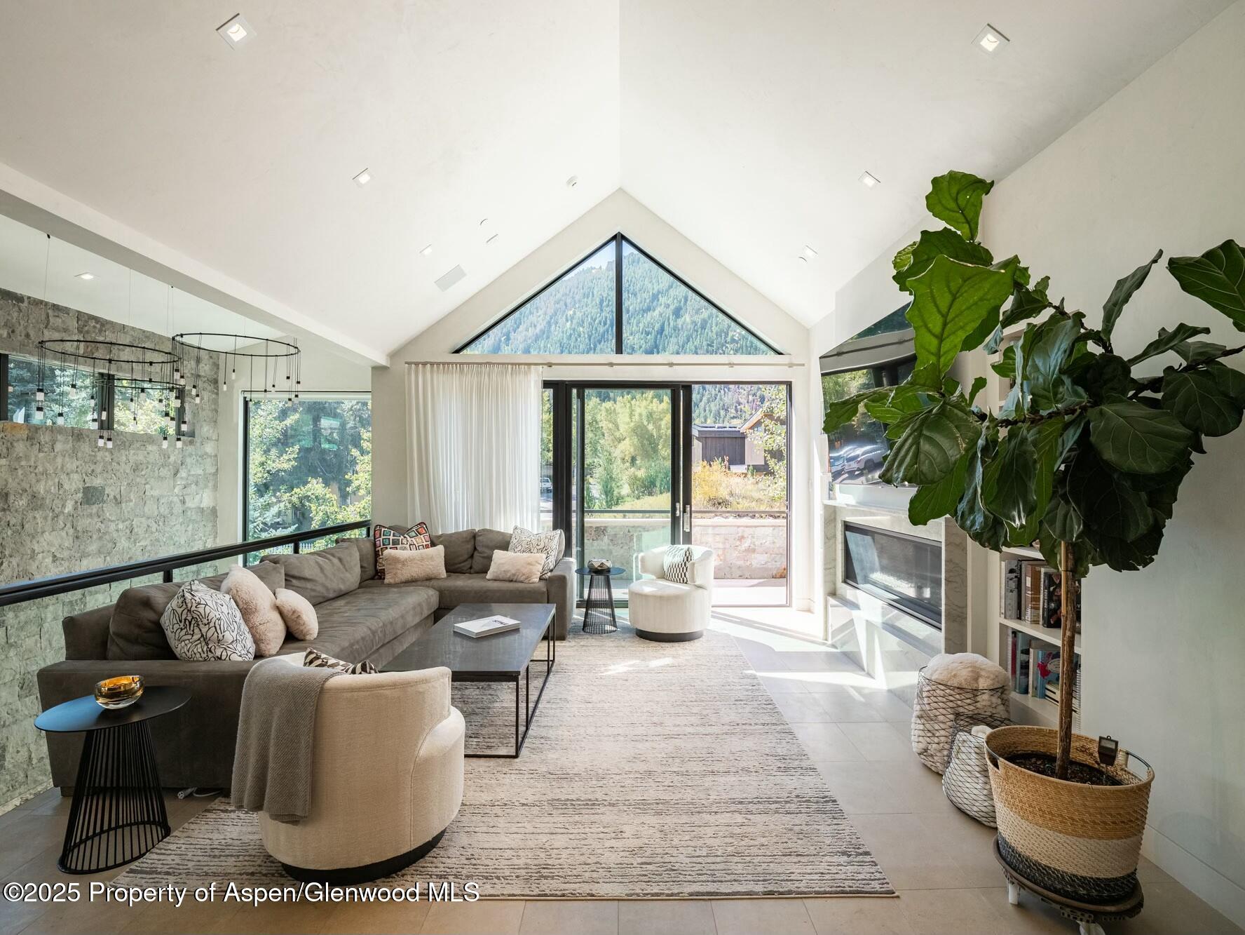 1154 E Cooper Avenue Aspen CO 81611