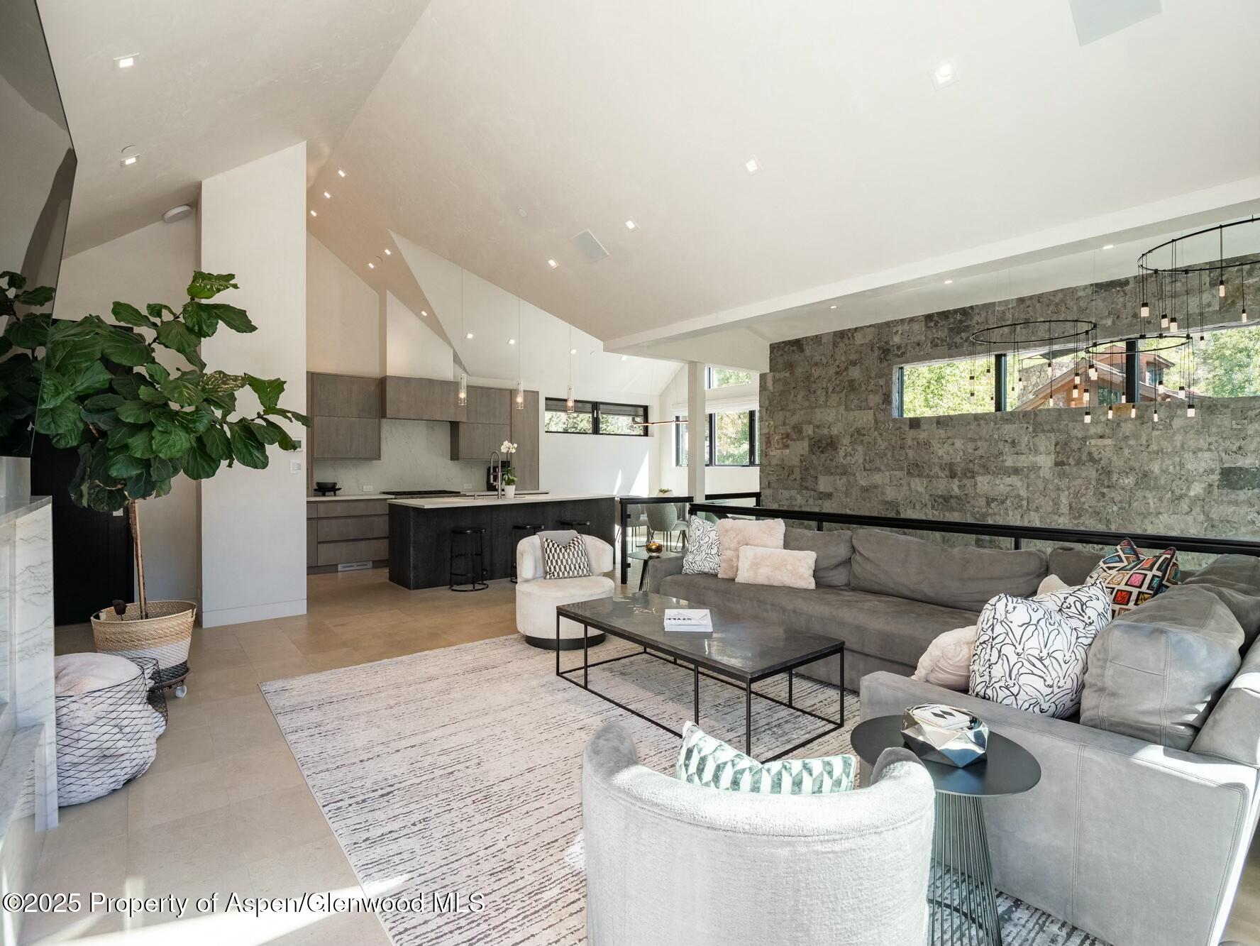 1154 E Cooper Avenue Aspen CO 81611