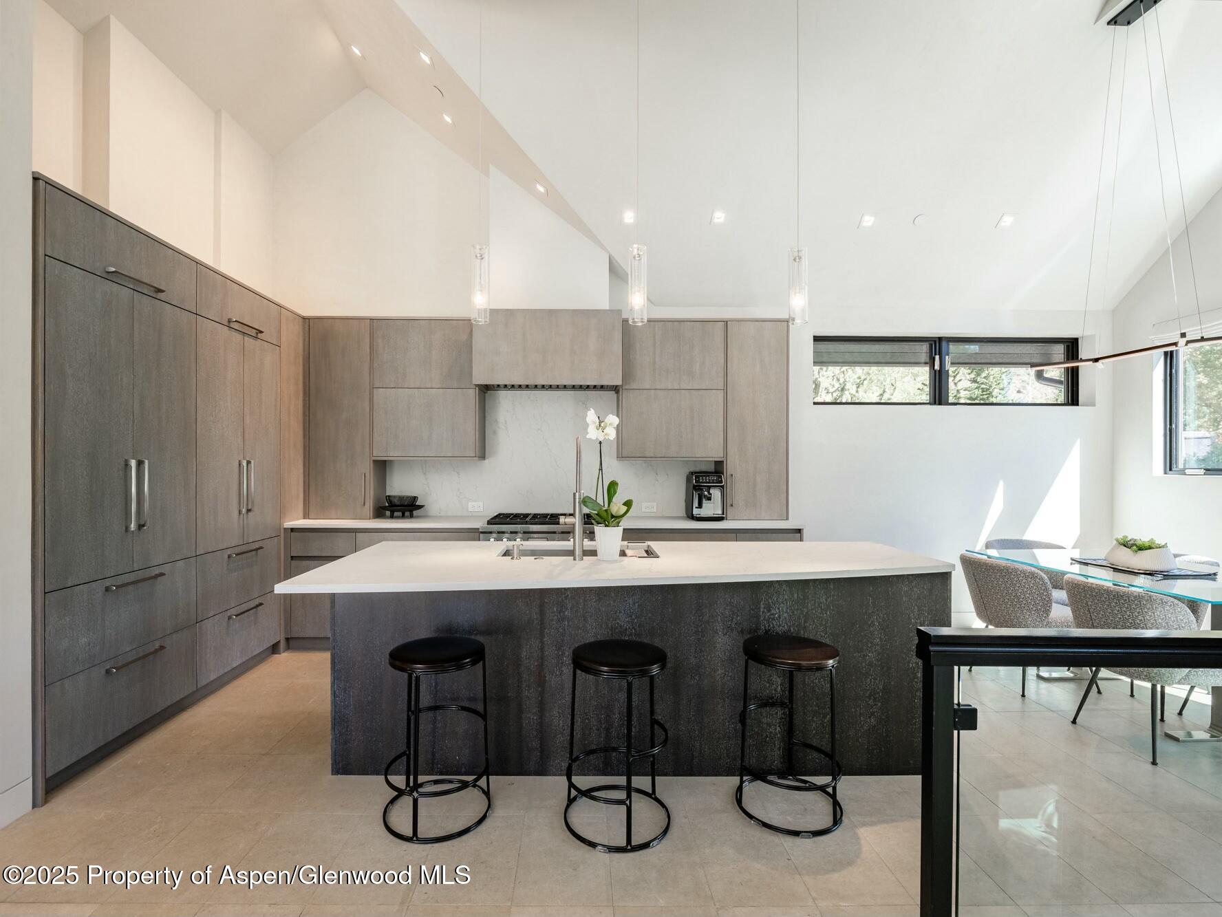 1154 E Cooper Avenue Aspen CO 81611