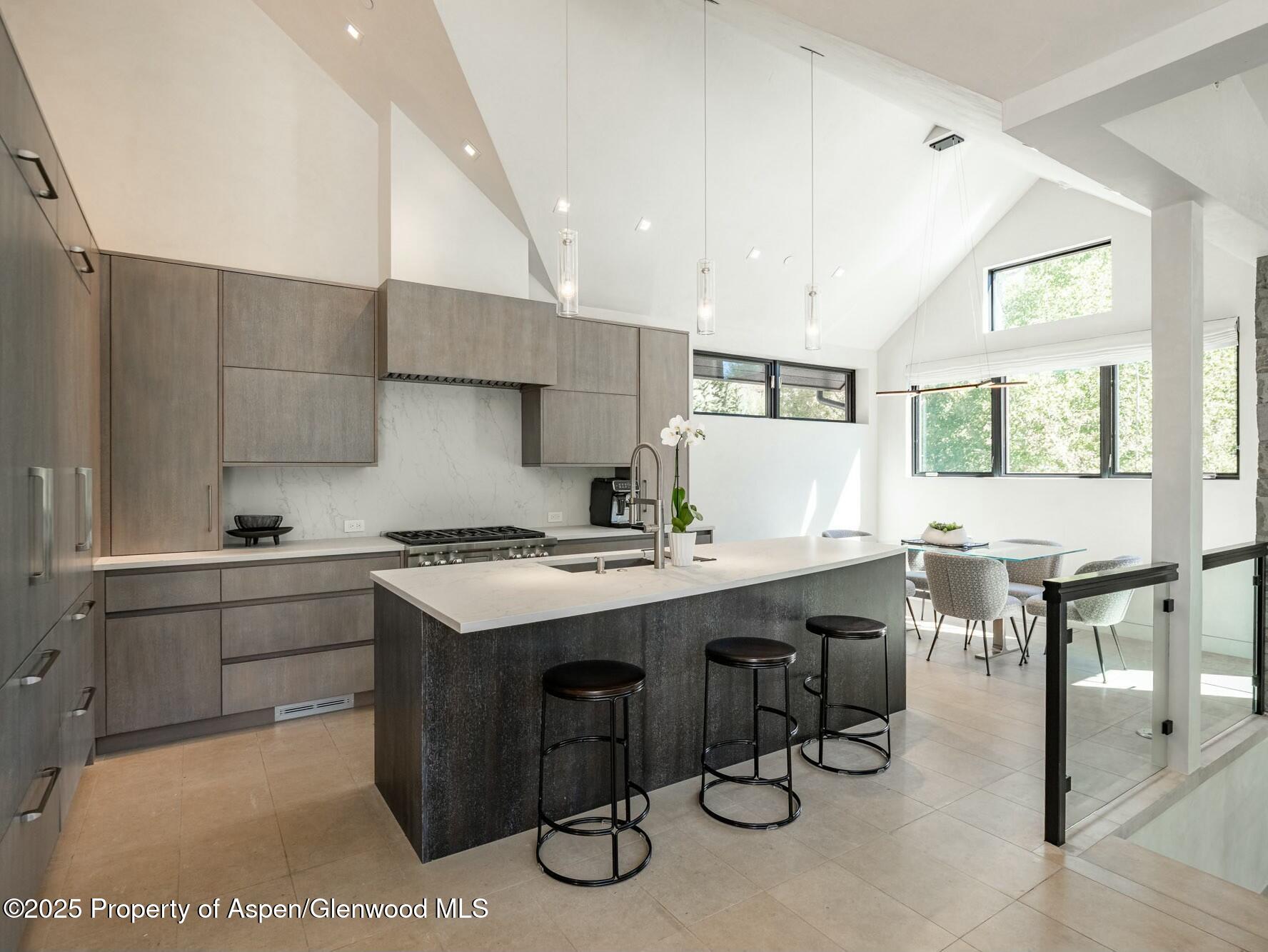 1154 E Cooper Avenue Aspen CO 81611