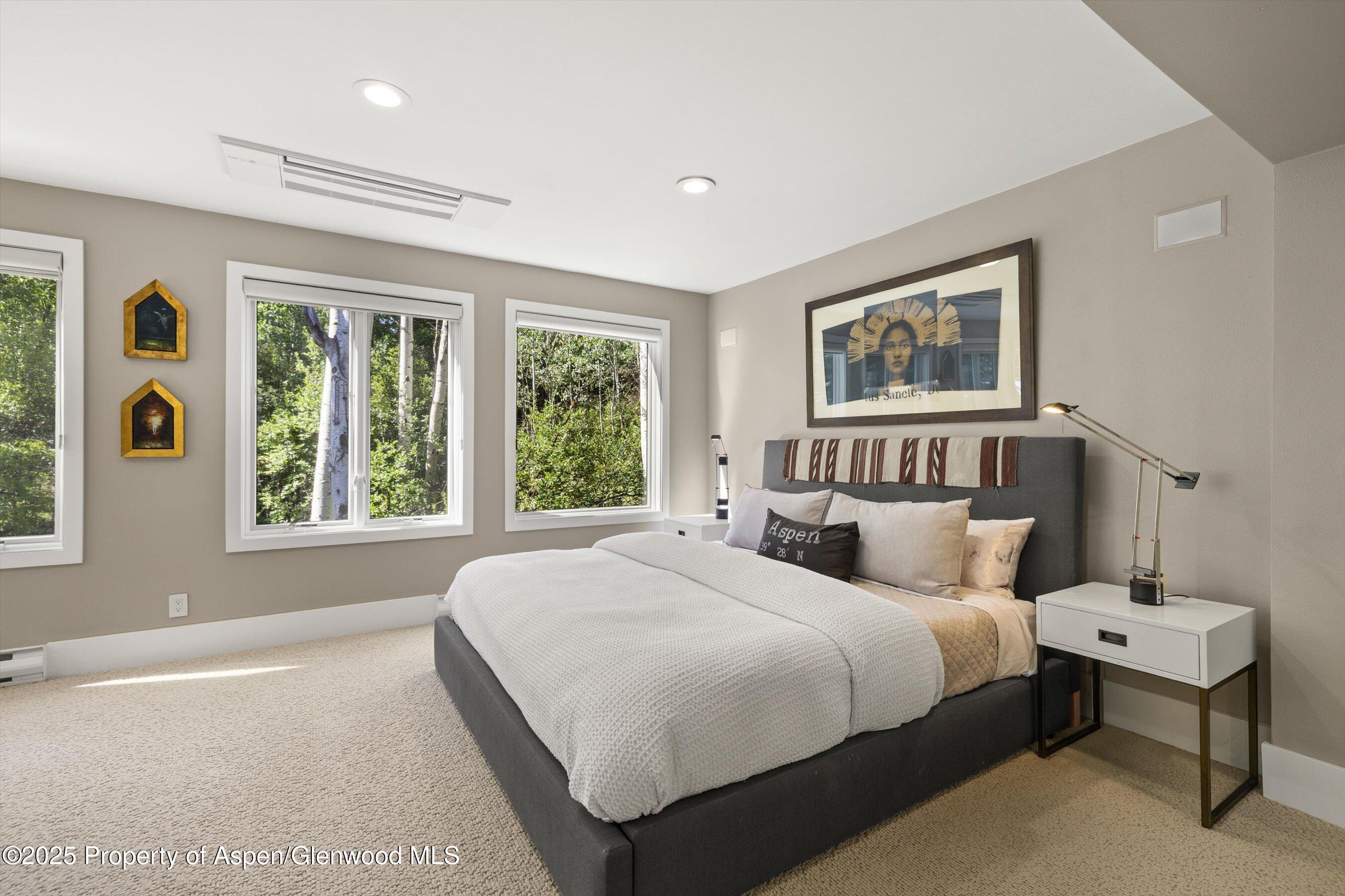 1145 Black Birch Drive Aspen CO 81611