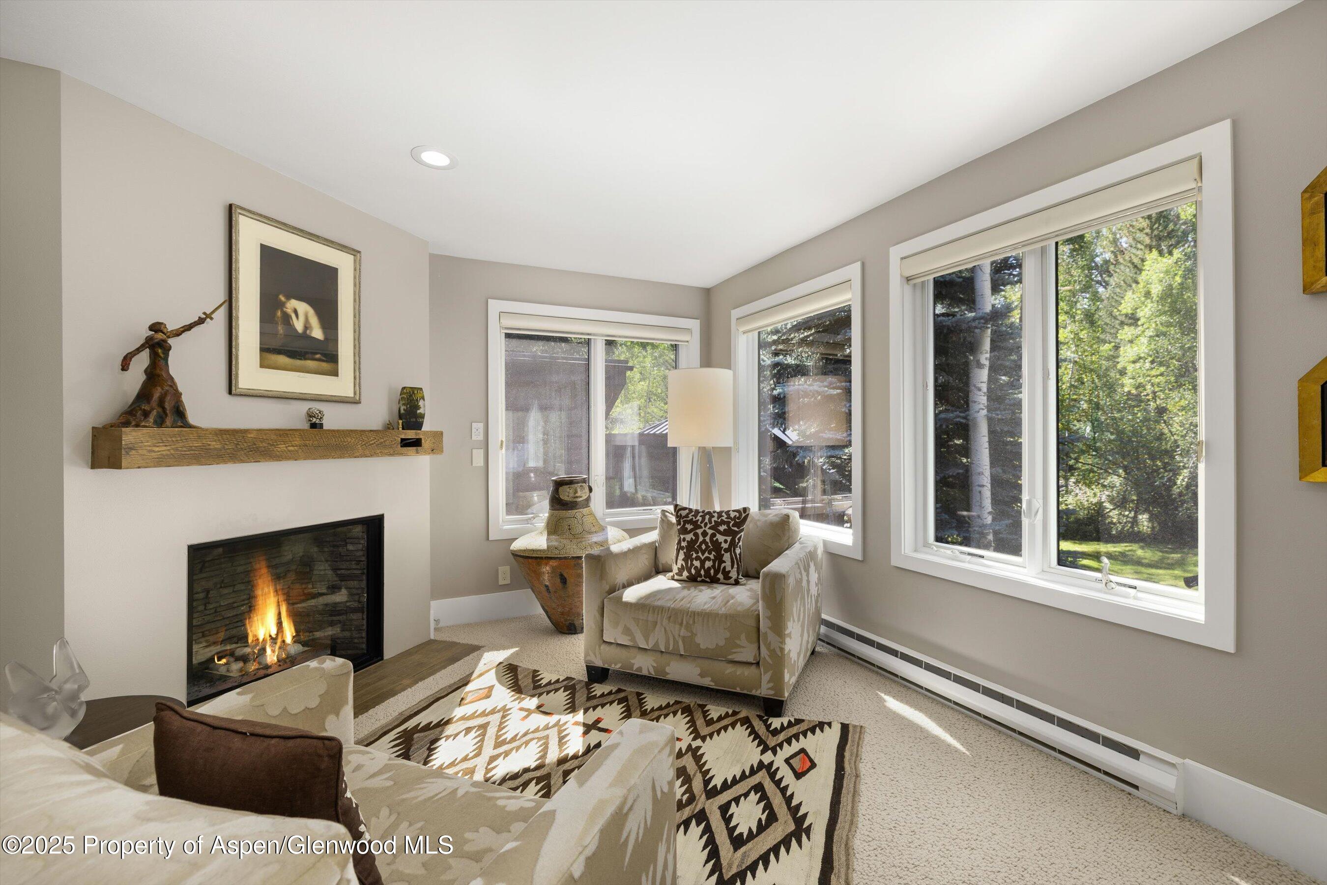 1145 Black Birch Drive Aspen CO 81611