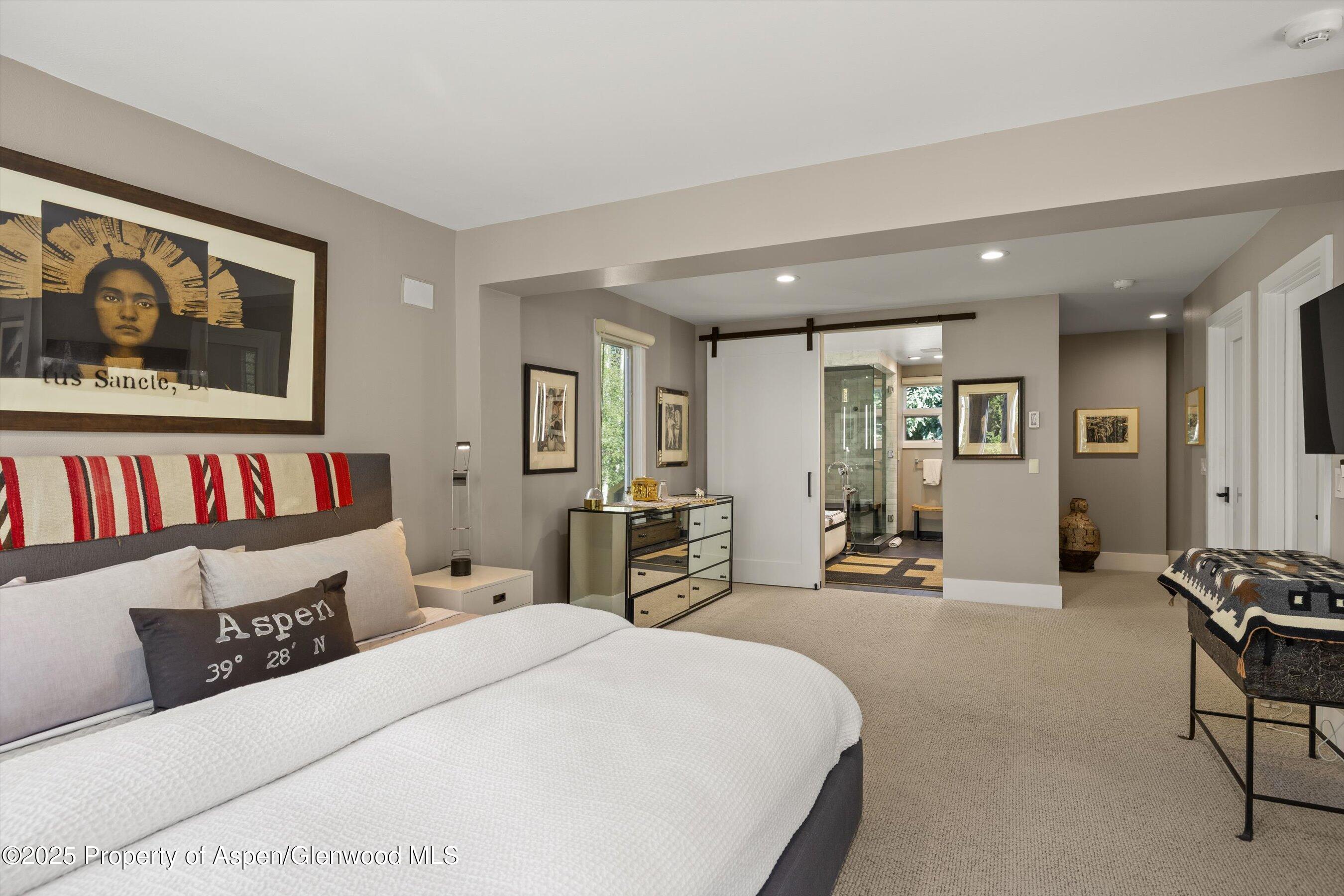 1145 Black Birch Drive Aspen CO 81611