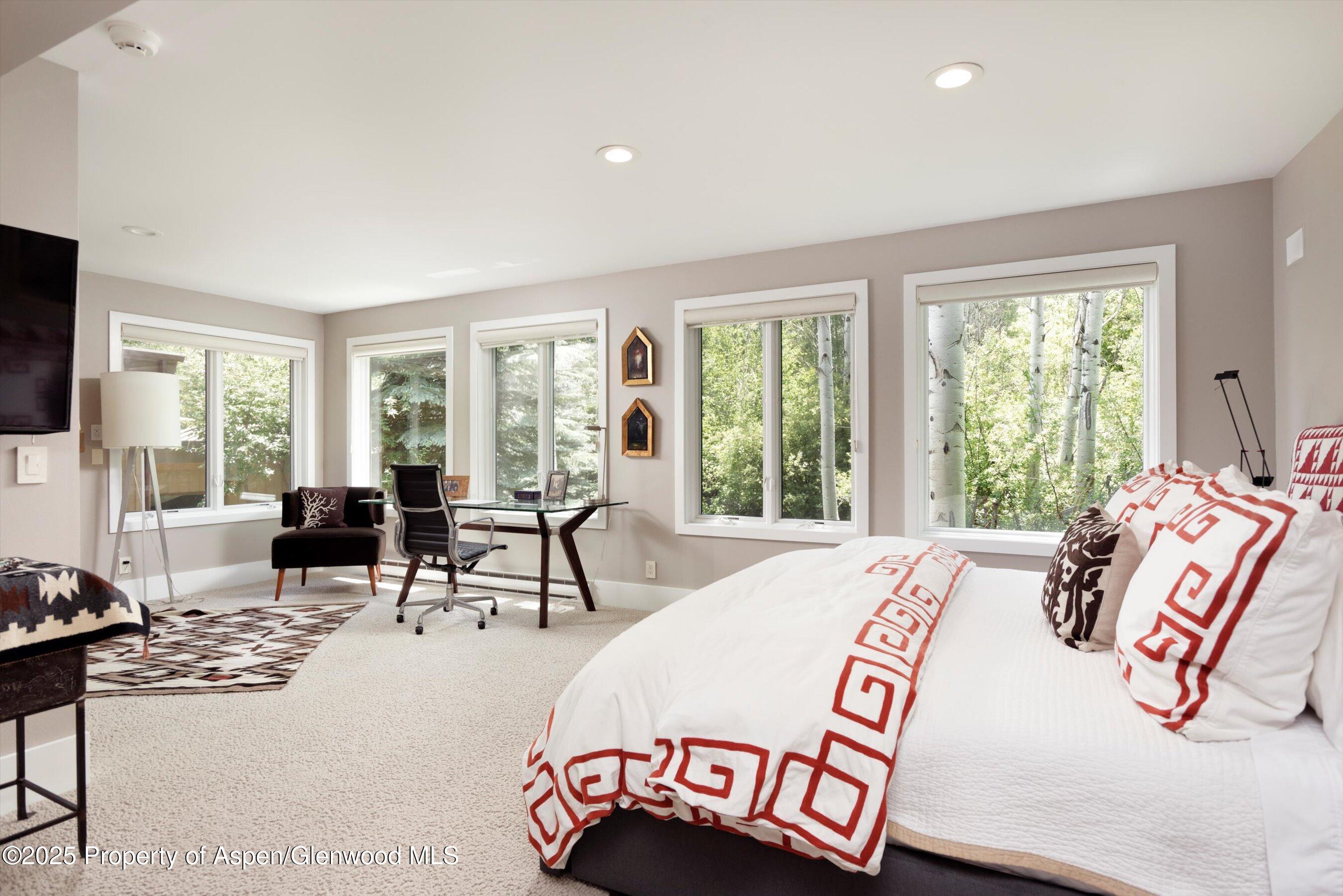 1145 Black Birch Drive Aspen CO 81611