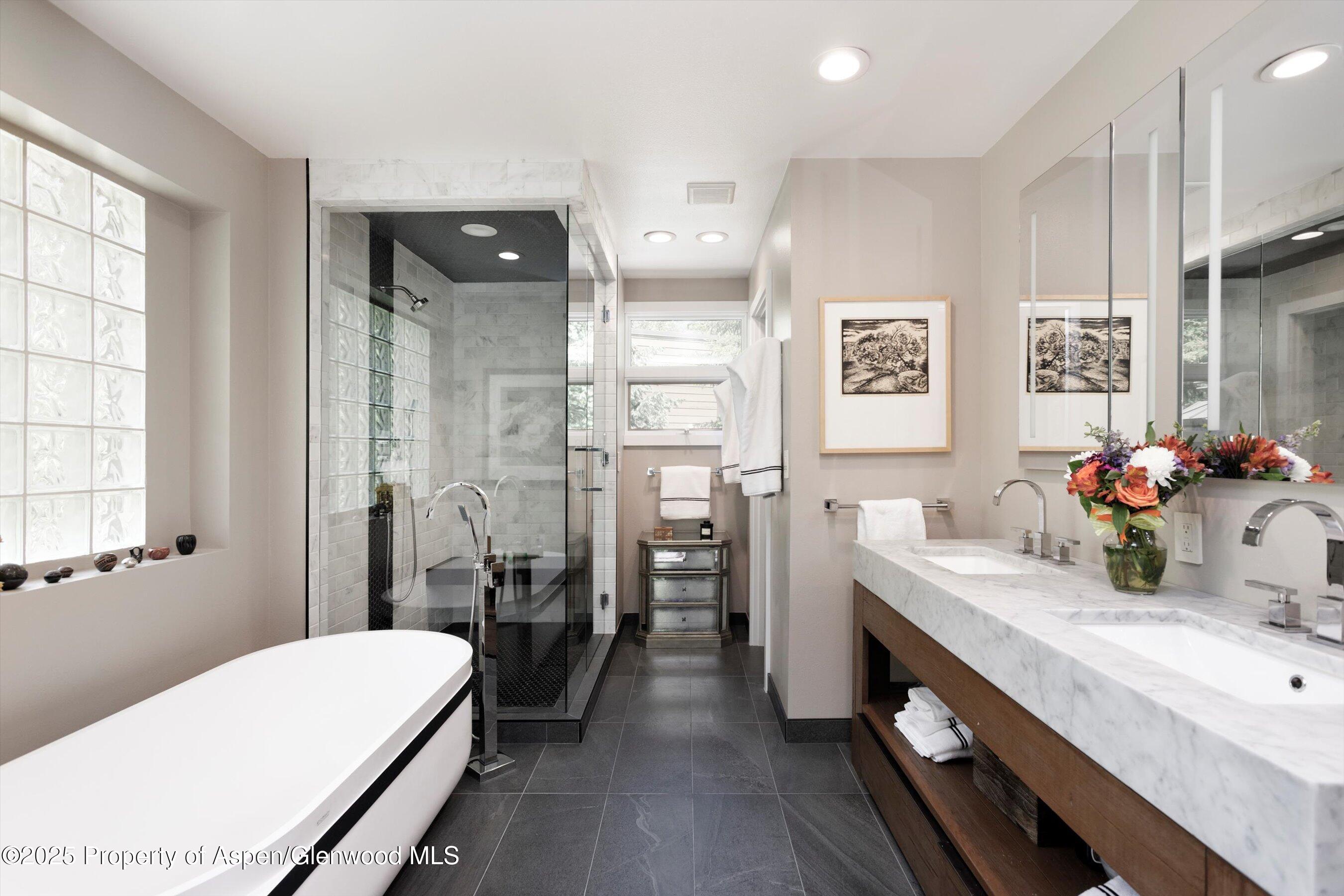 1145 Black Birch Drive Aspen CO 81611