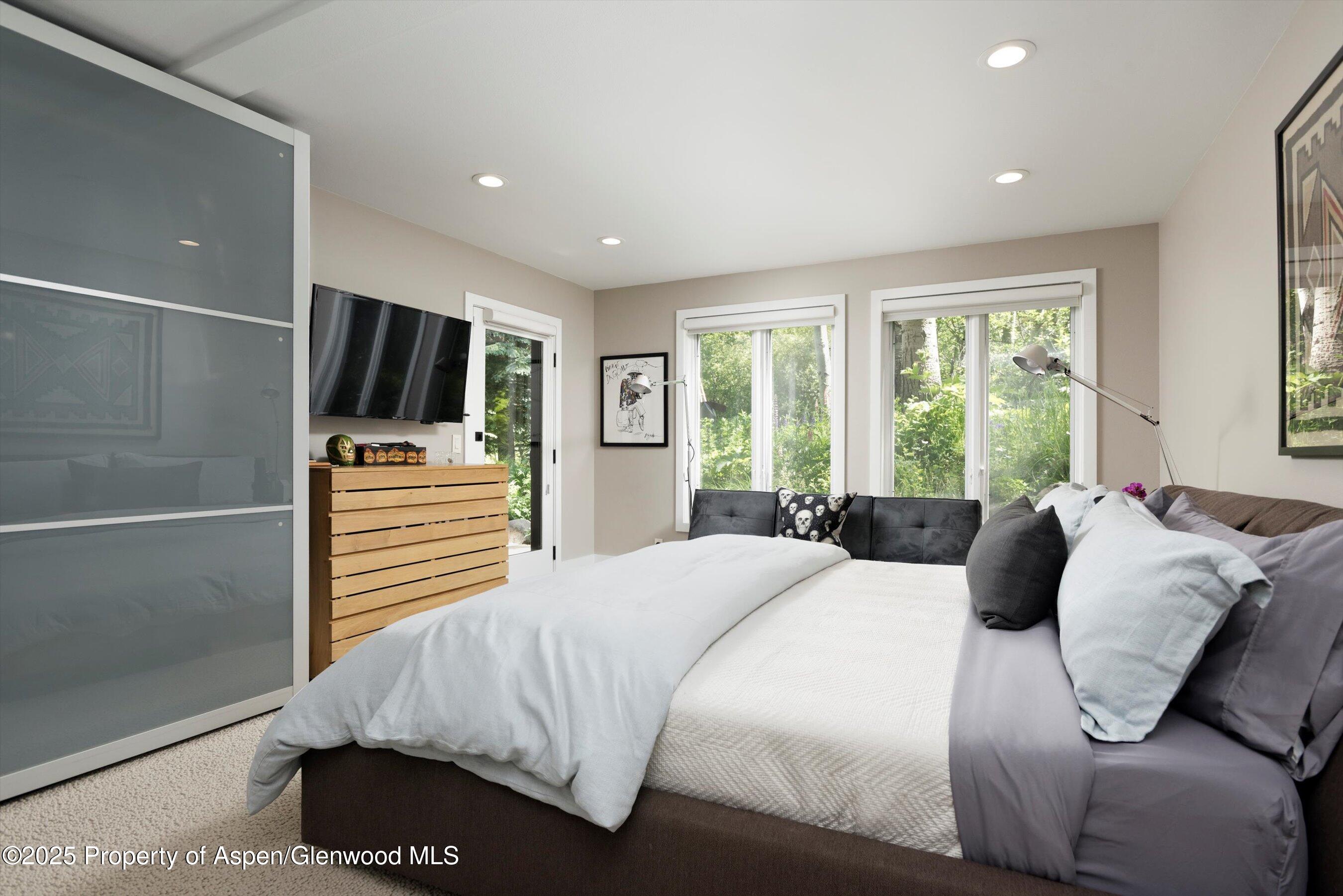 1145 Black Birch Drive Aspen CO 81611