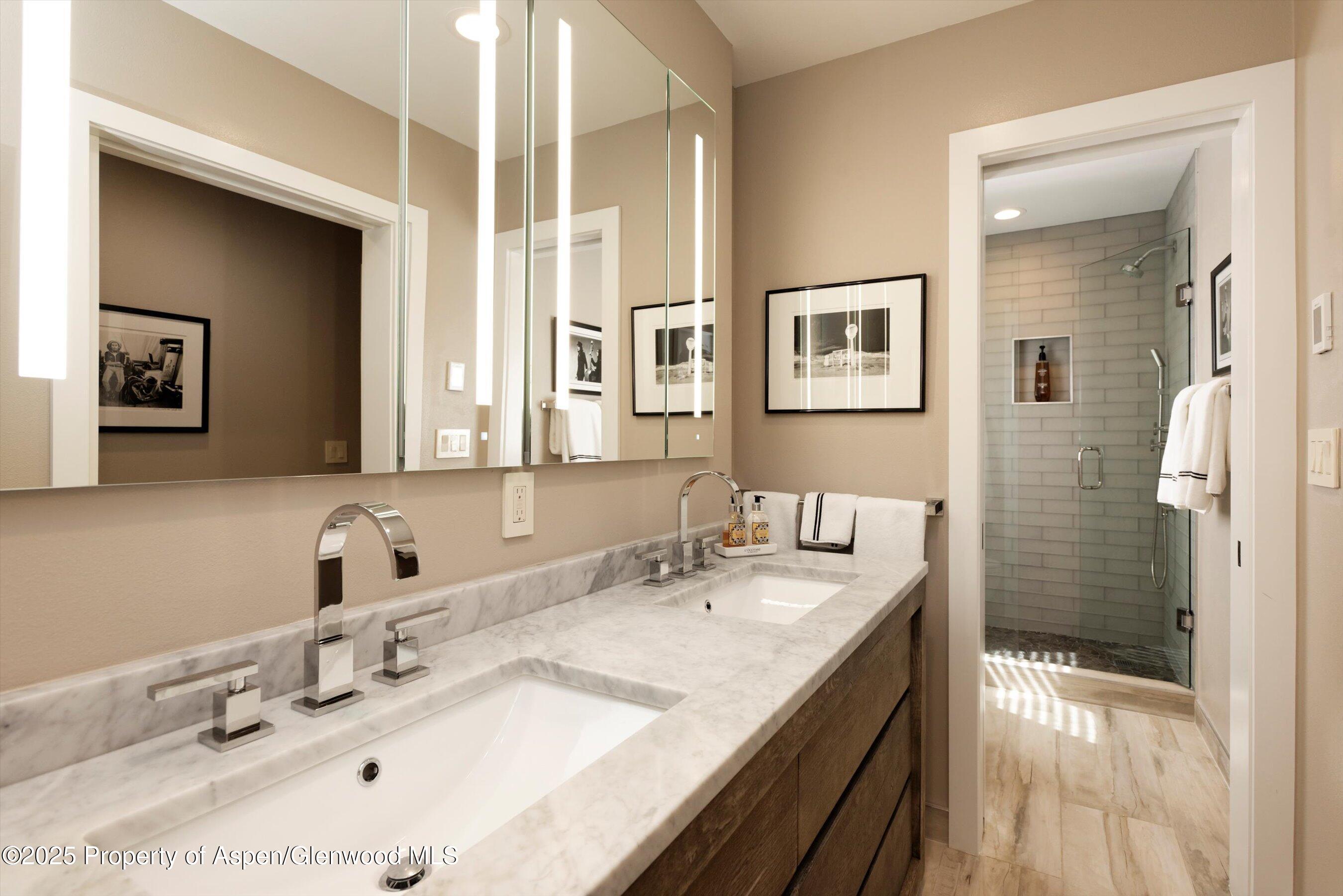 1145 Black Birch Drive Aspen CO 81611