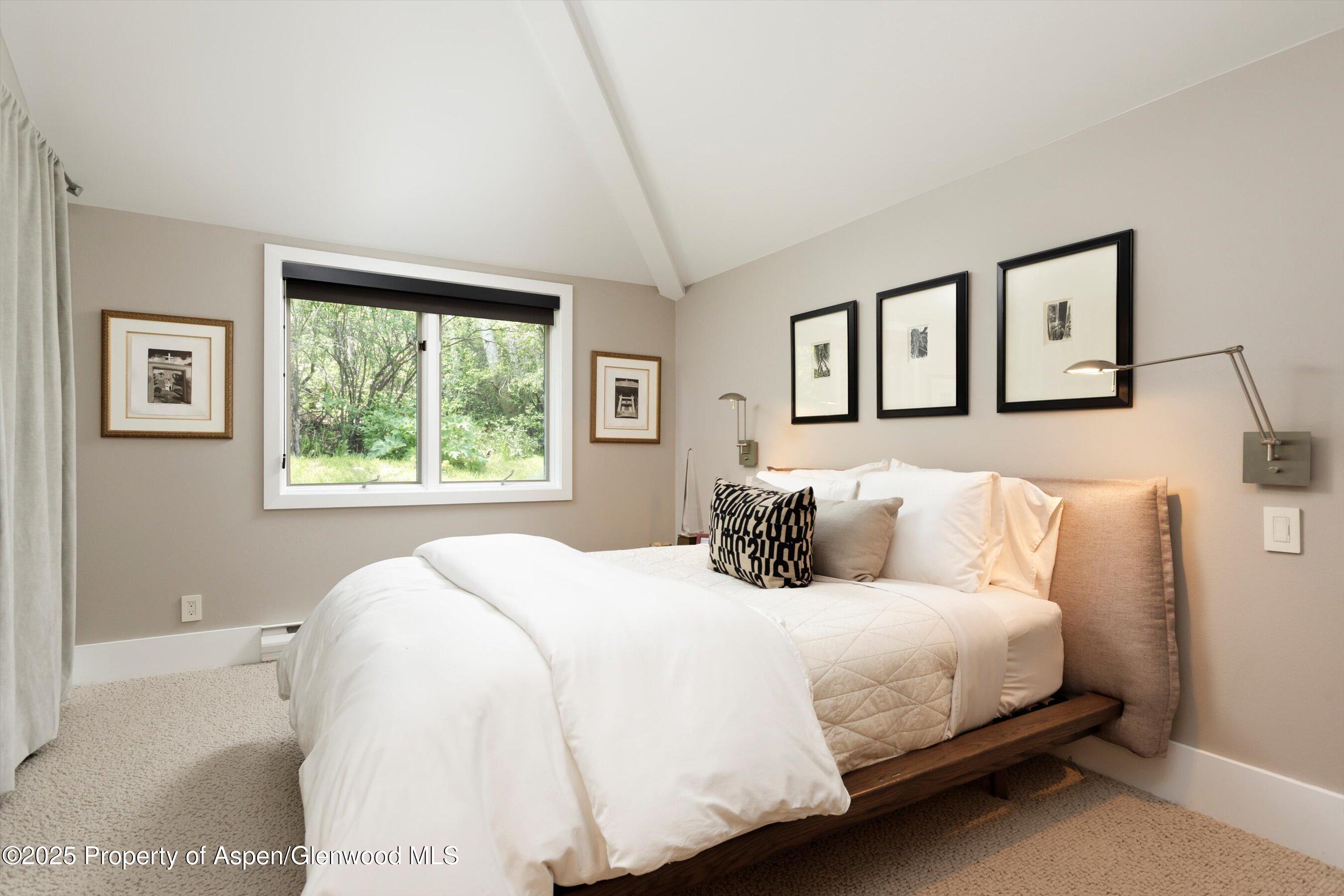 1145 Black Birch Drive Aspen CO 81611