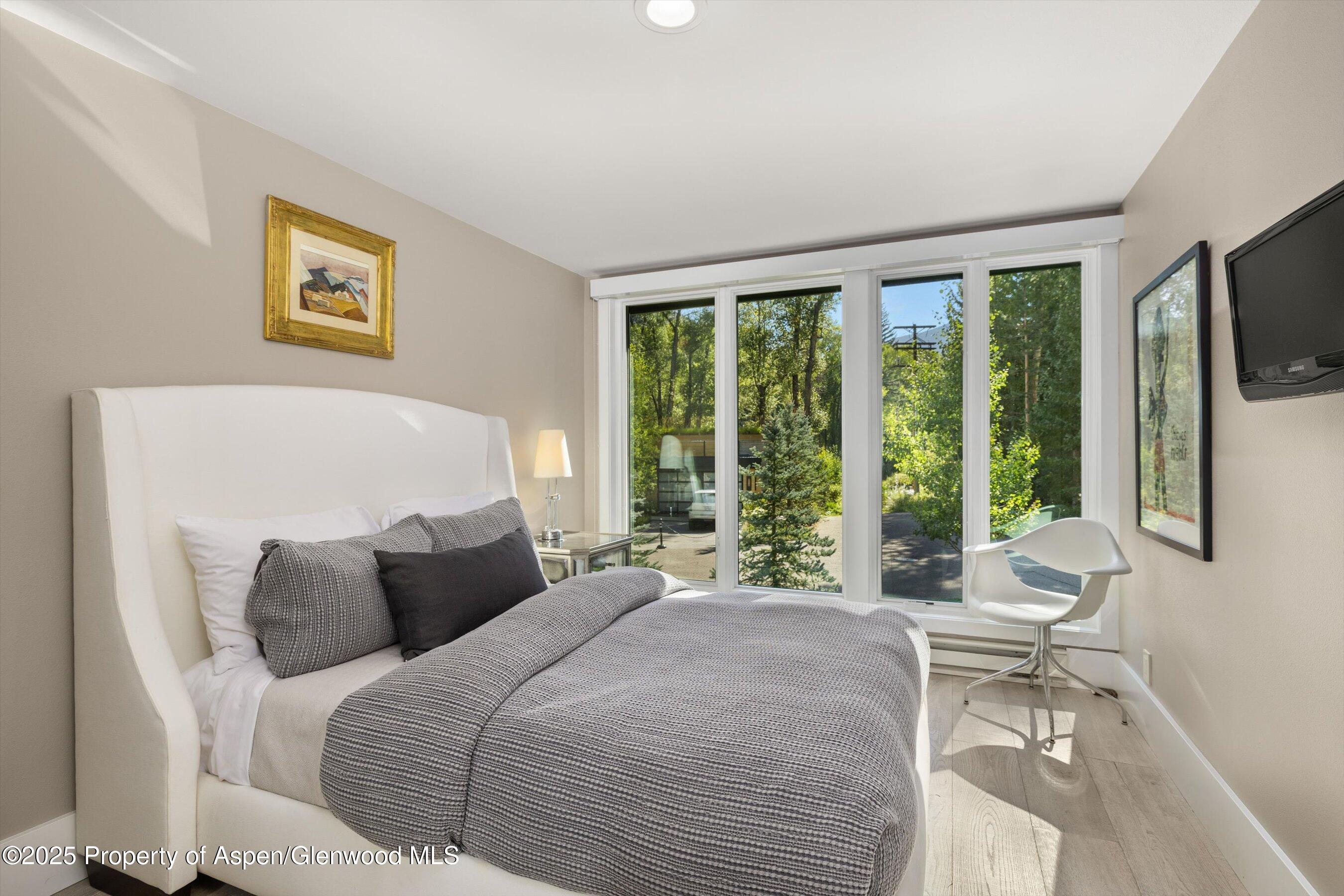 1145 Black Birch Drive Aspen CO 81611