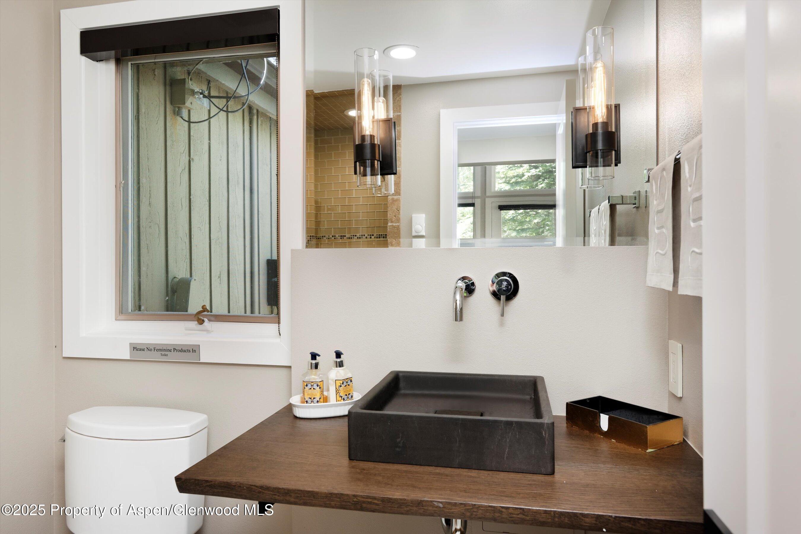 1145 Black Birch Drive Aspen CO 81611