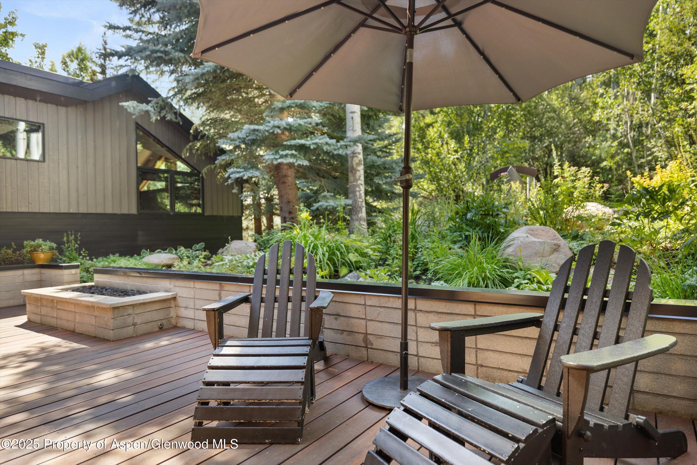 1145 Black Birch Drive Aspen CO 81611