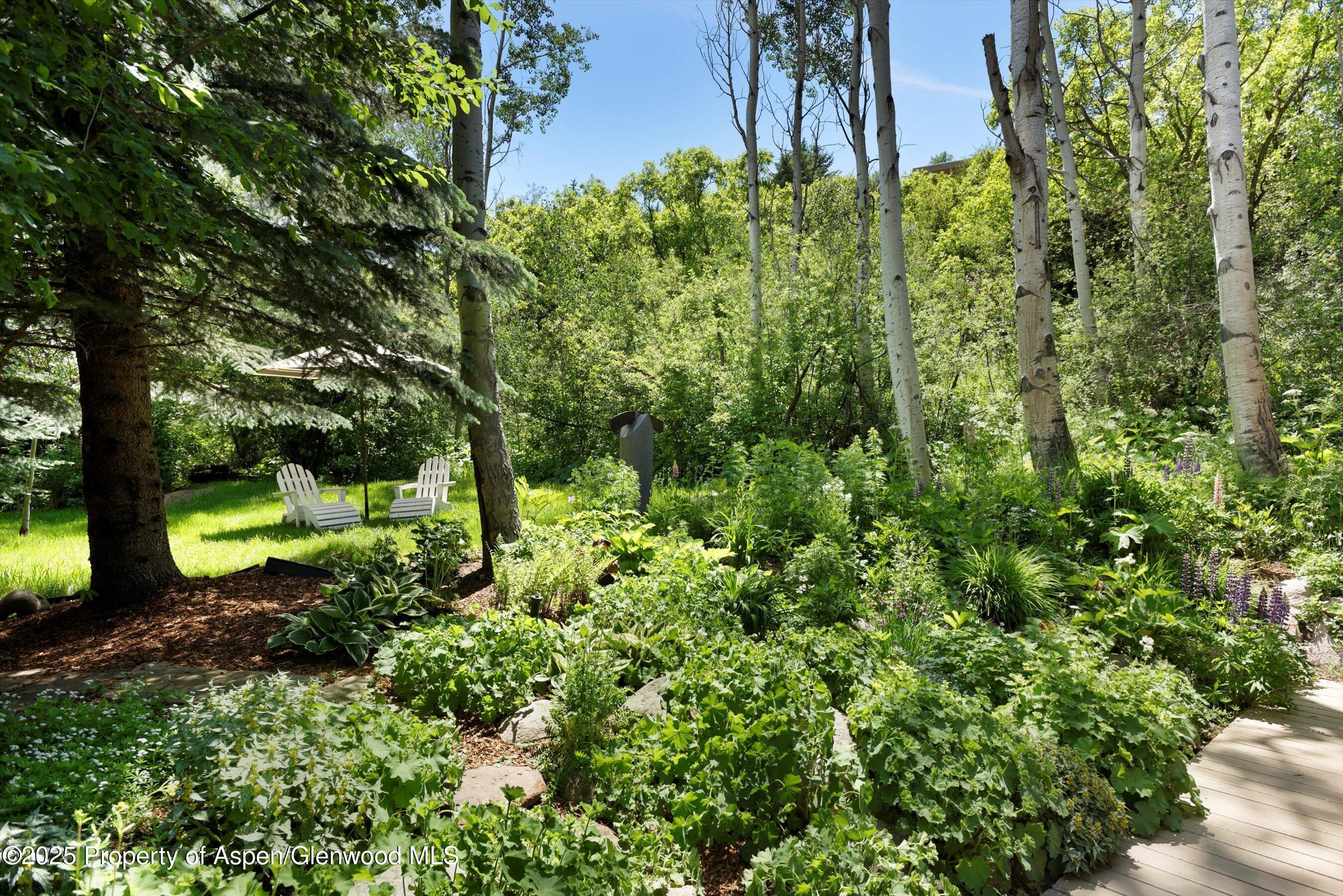 1145 Black Birch Drive Aspen CO 81611