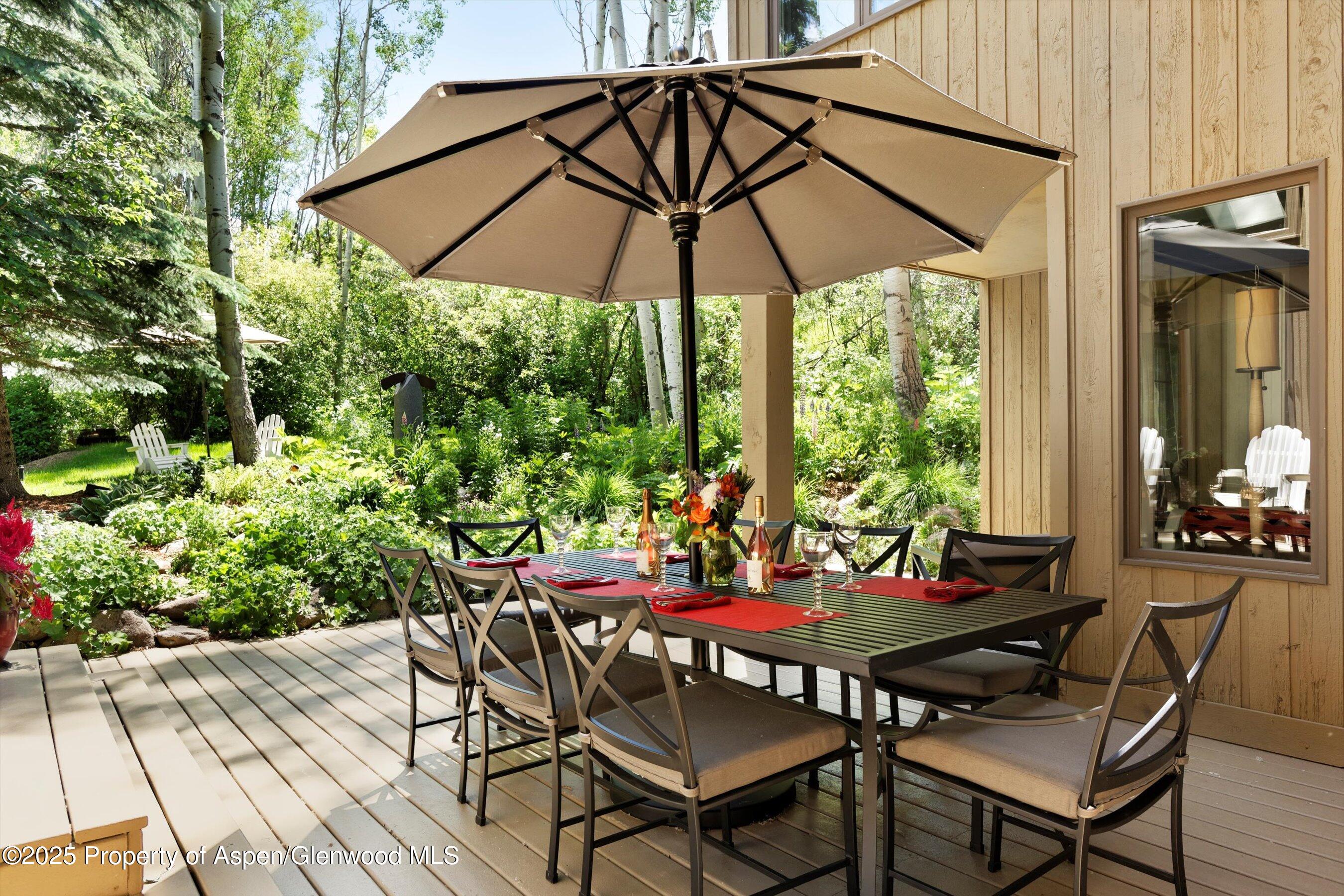 1145 Black Birch Drive Aspen CO 81611