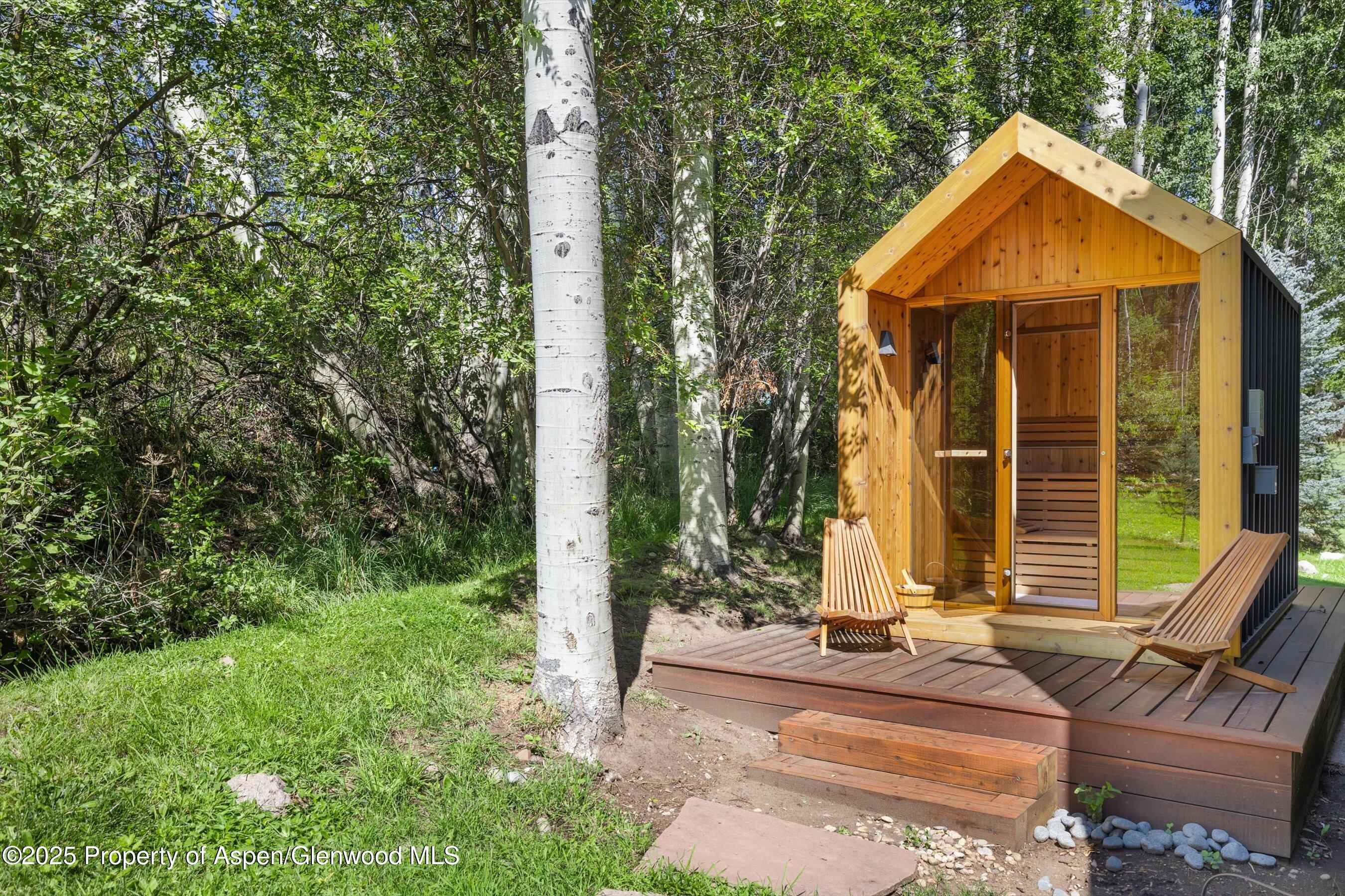 1145 Black Birch Drive Aspen CO 81611