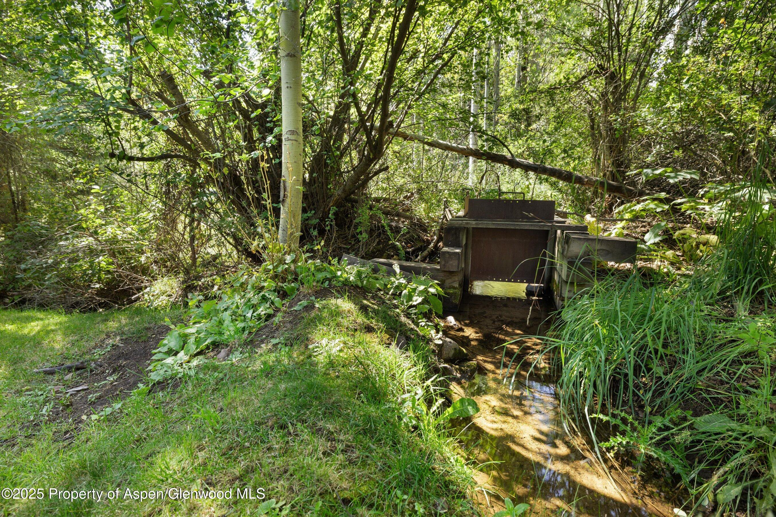 1145 Black Birch Drive Aspen CO 81611