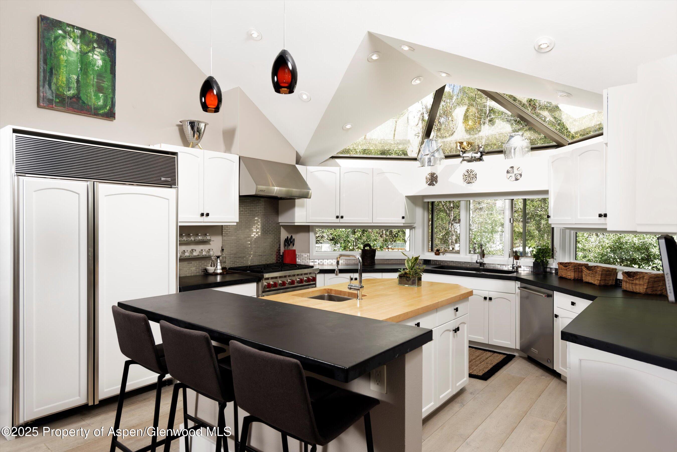 1145 Black Birch Drive Aspen CO 81611