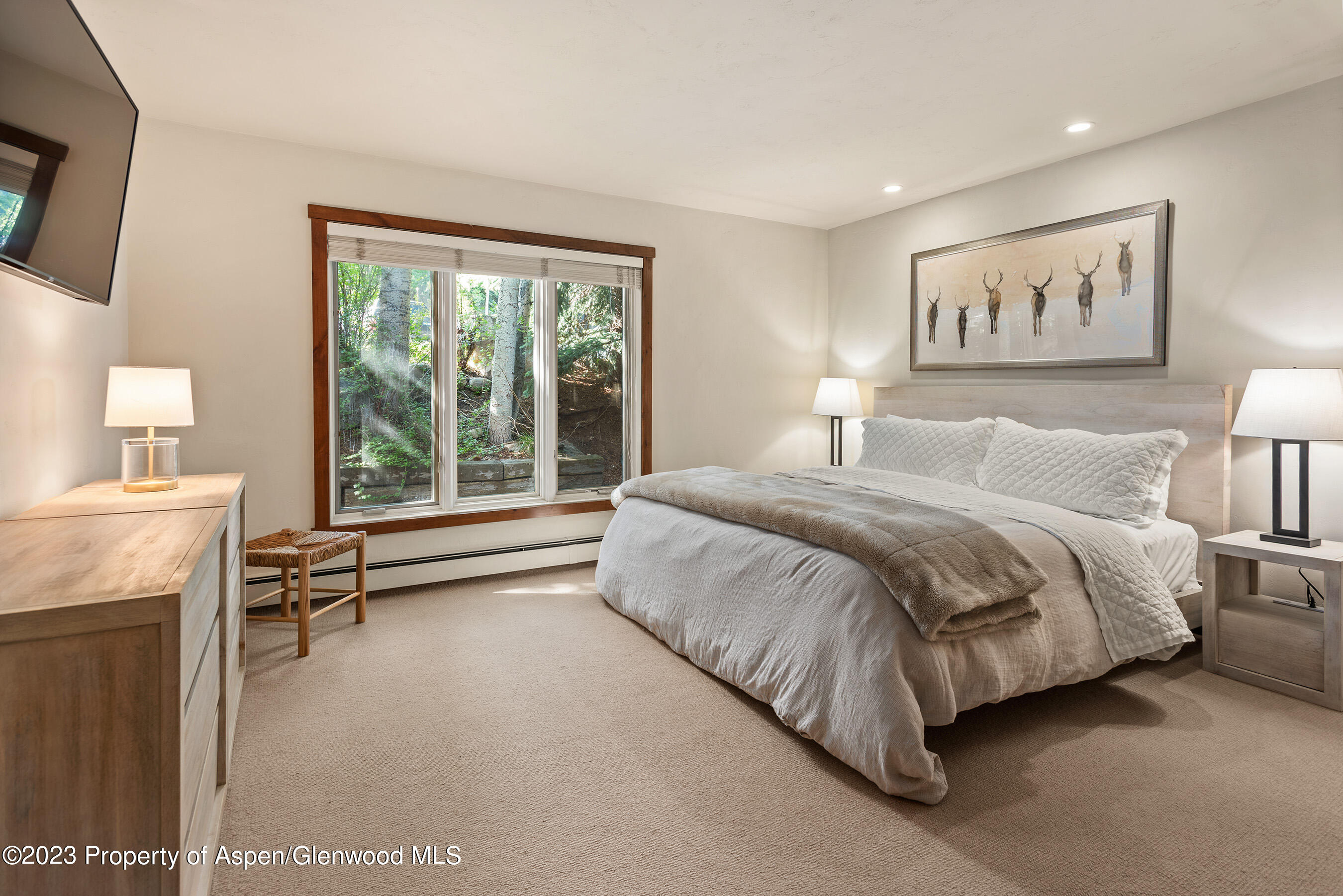 232 Meadow Ranch Drive Snowmass Village CO 81615