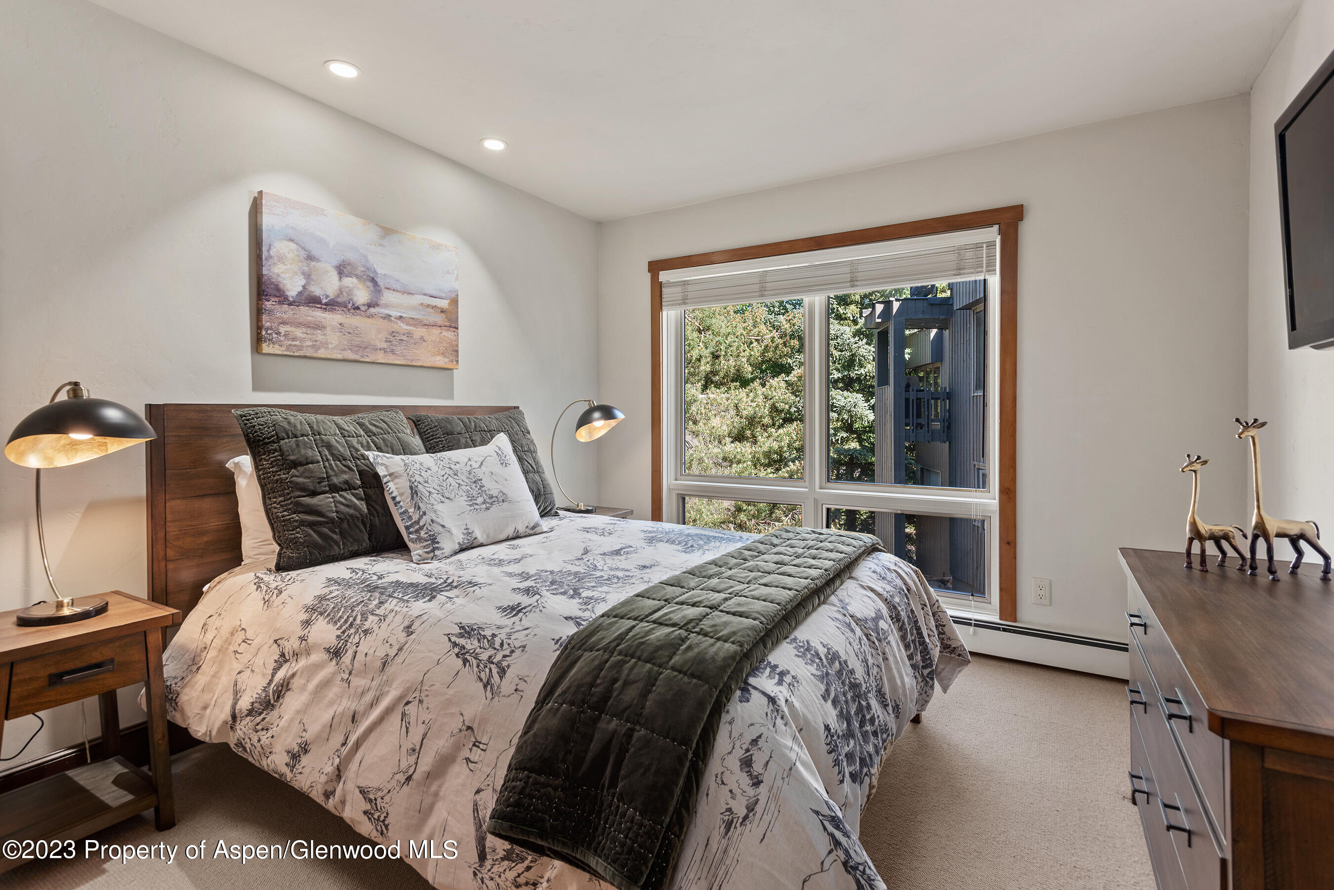 232 Meadow Ranch Drive Snowmass Village CO 81615