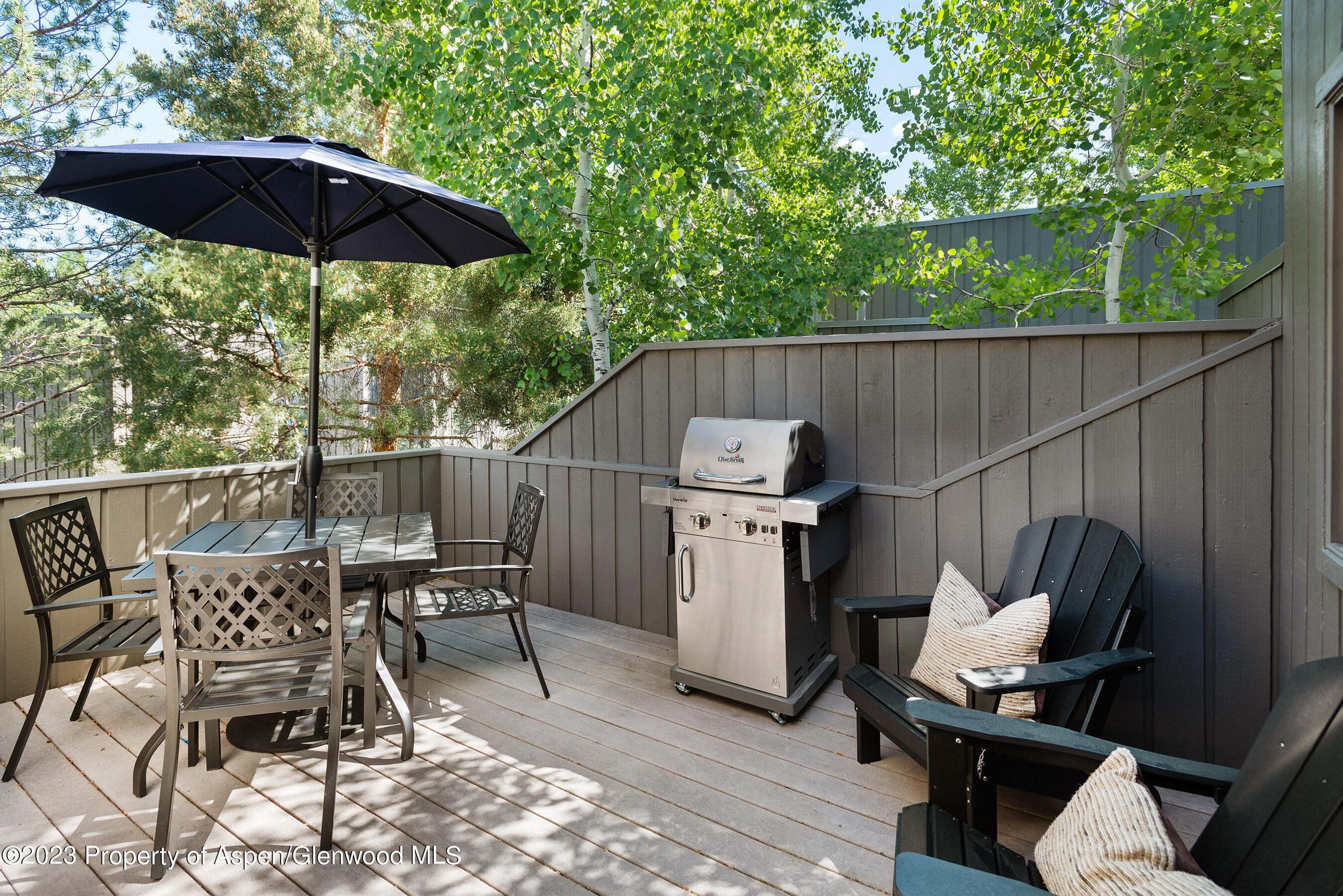 232 Meadow Ranch Drive Snowmass Village CO 81615