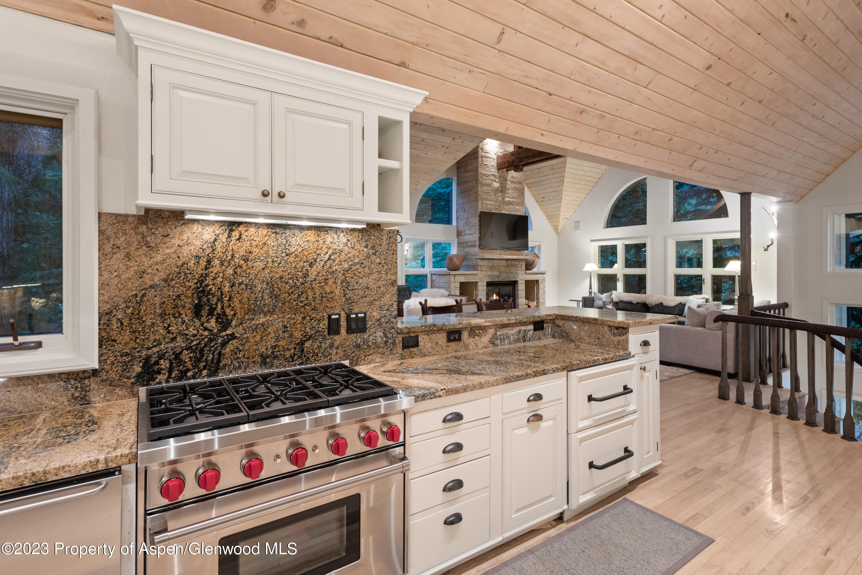 901 Ute Avenue Aspen CO 81611