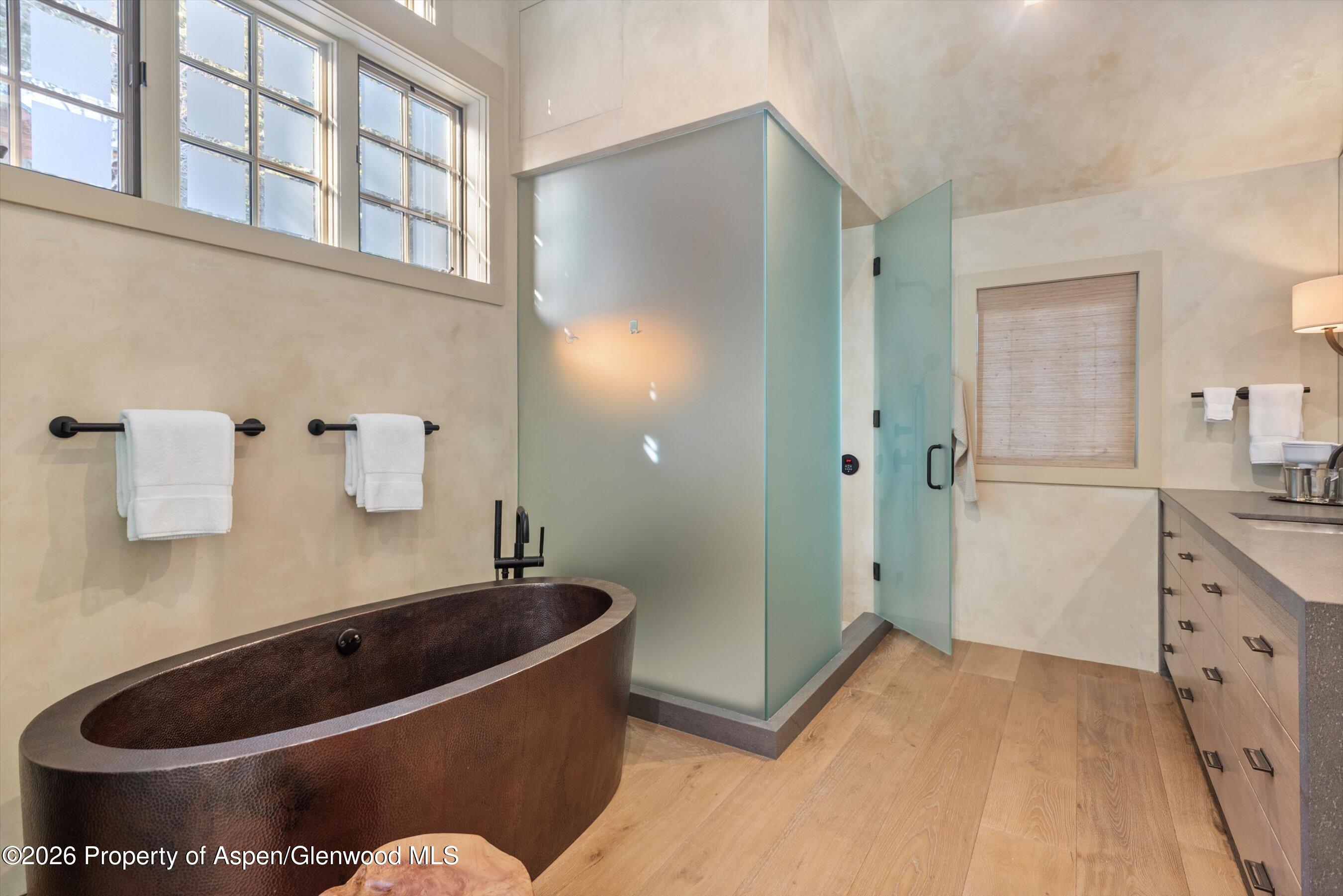 1271 Ute Avenue Aspen CO 81611