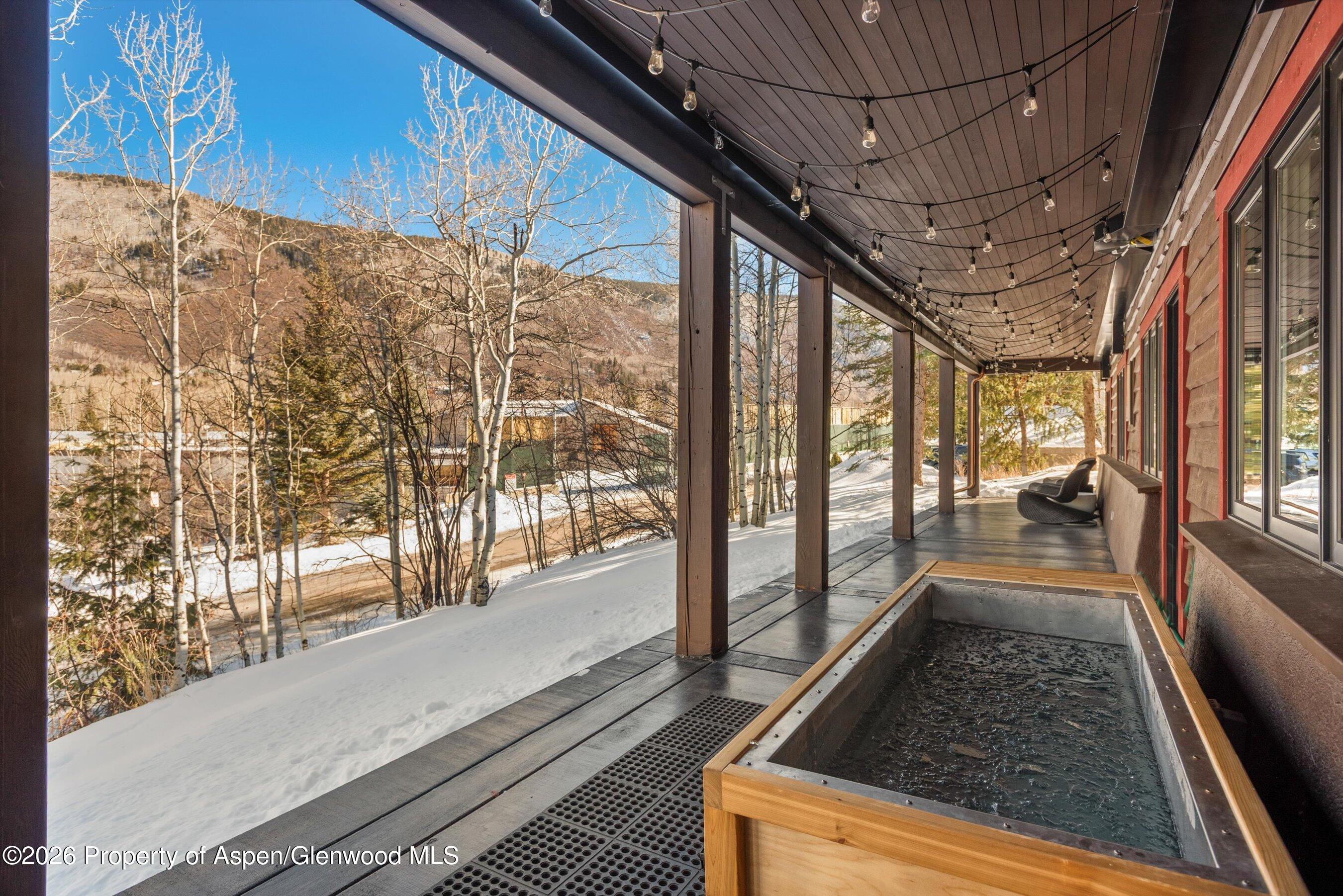 1271 Ute Avenue Aspen CO 81611