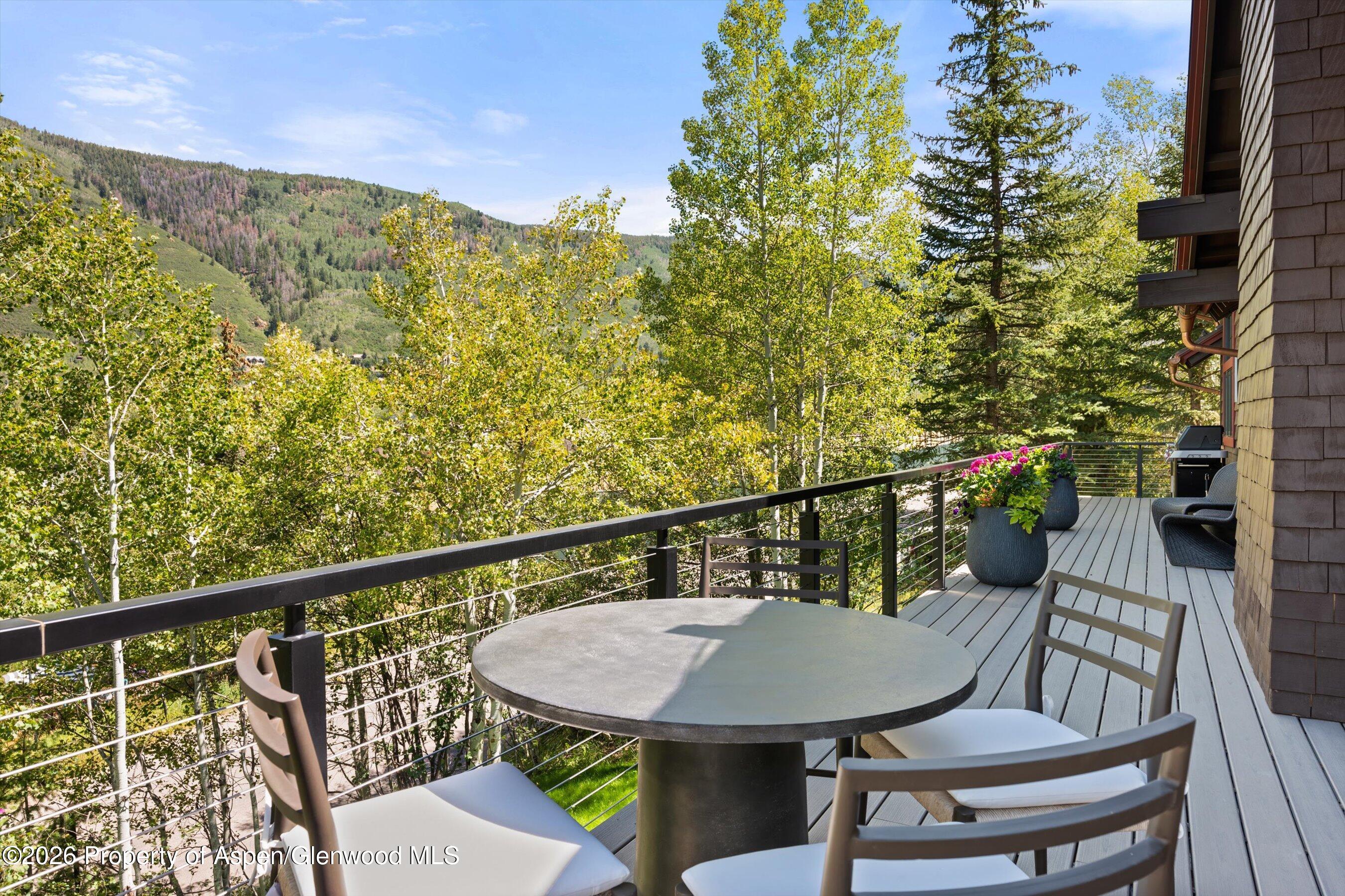 1271 Ute Avenue Aspen CO 81611