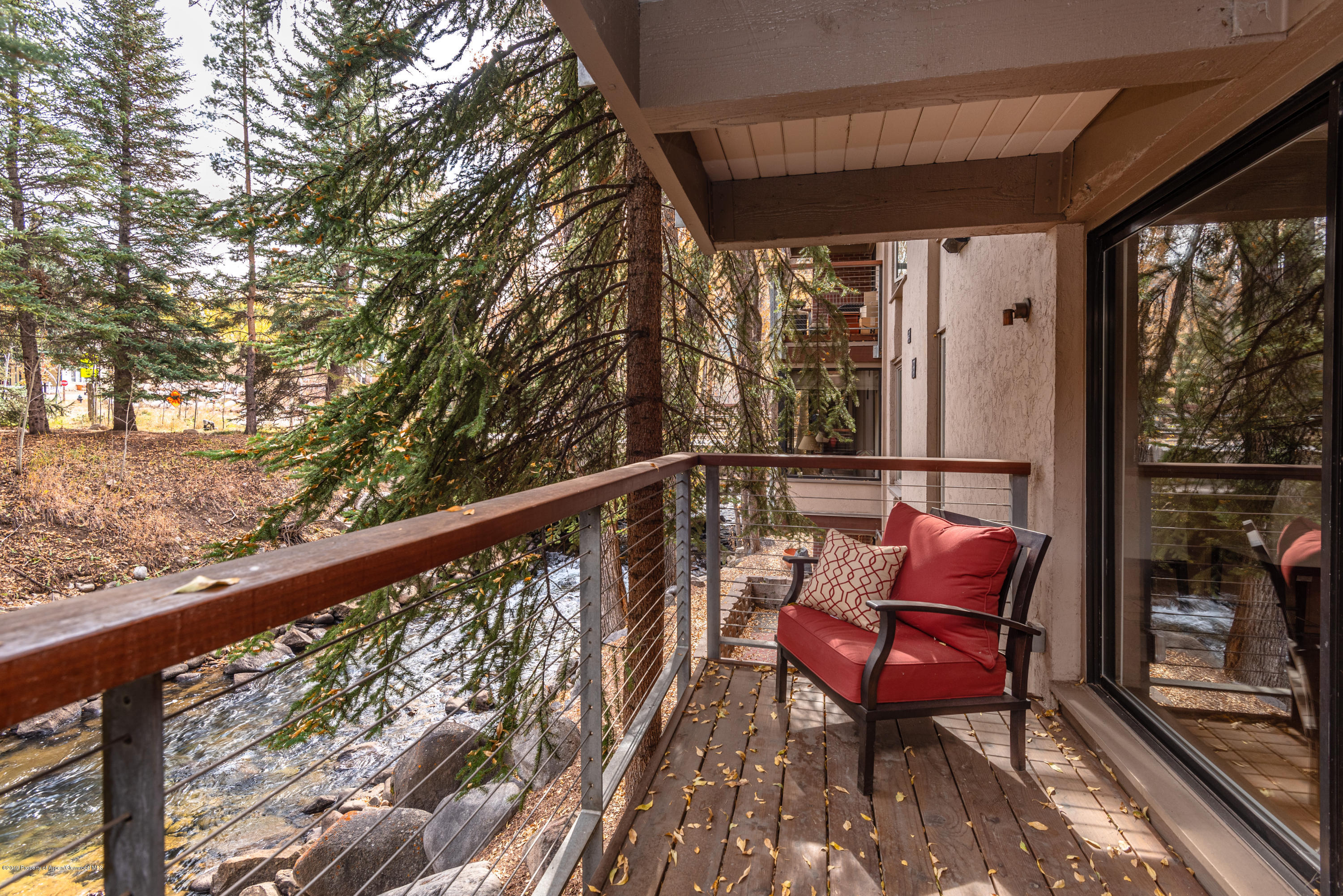 1034 E Cooper Avenue Aspen CO 81611