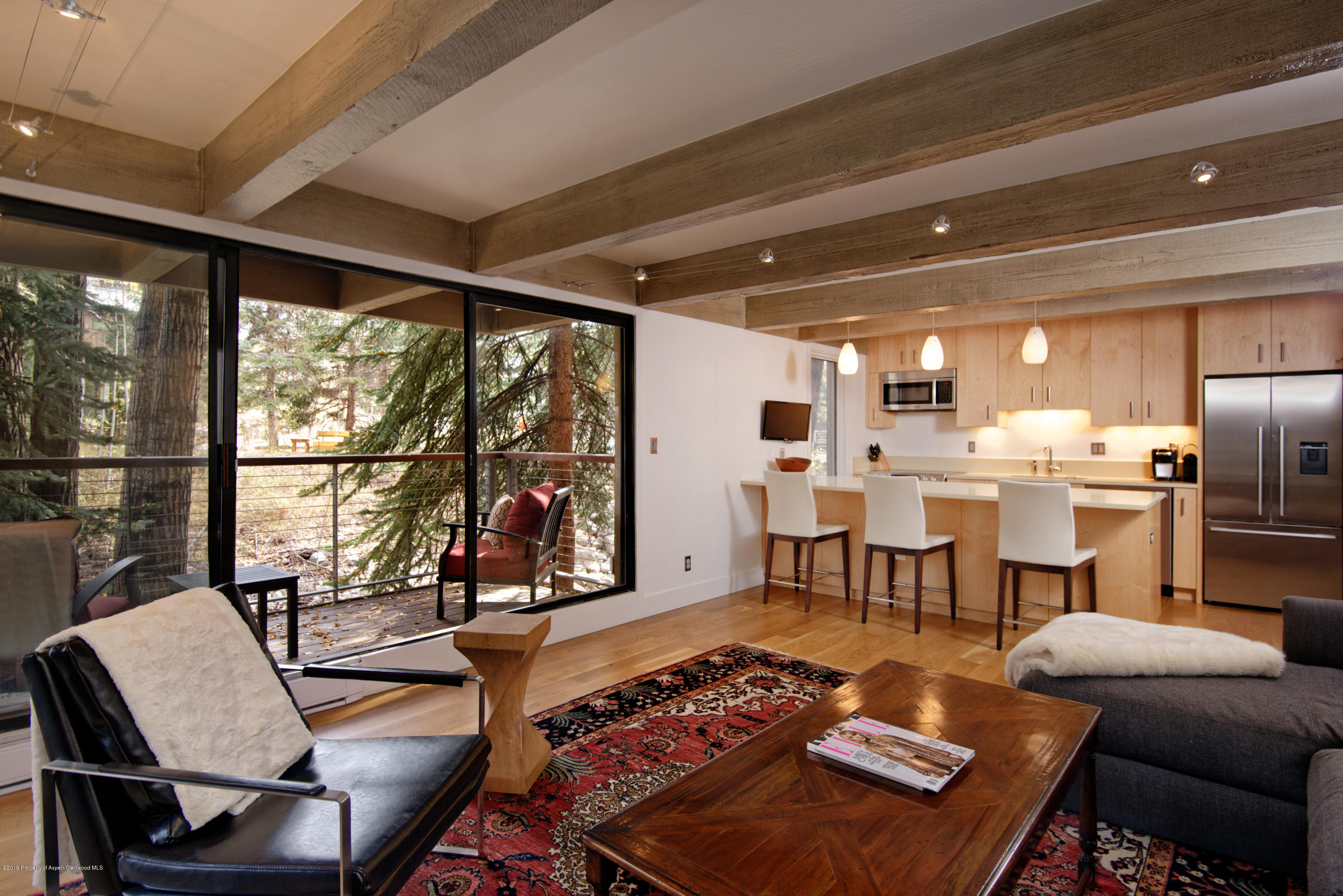 1034 E Cooper Avenue Aspen CO 81611