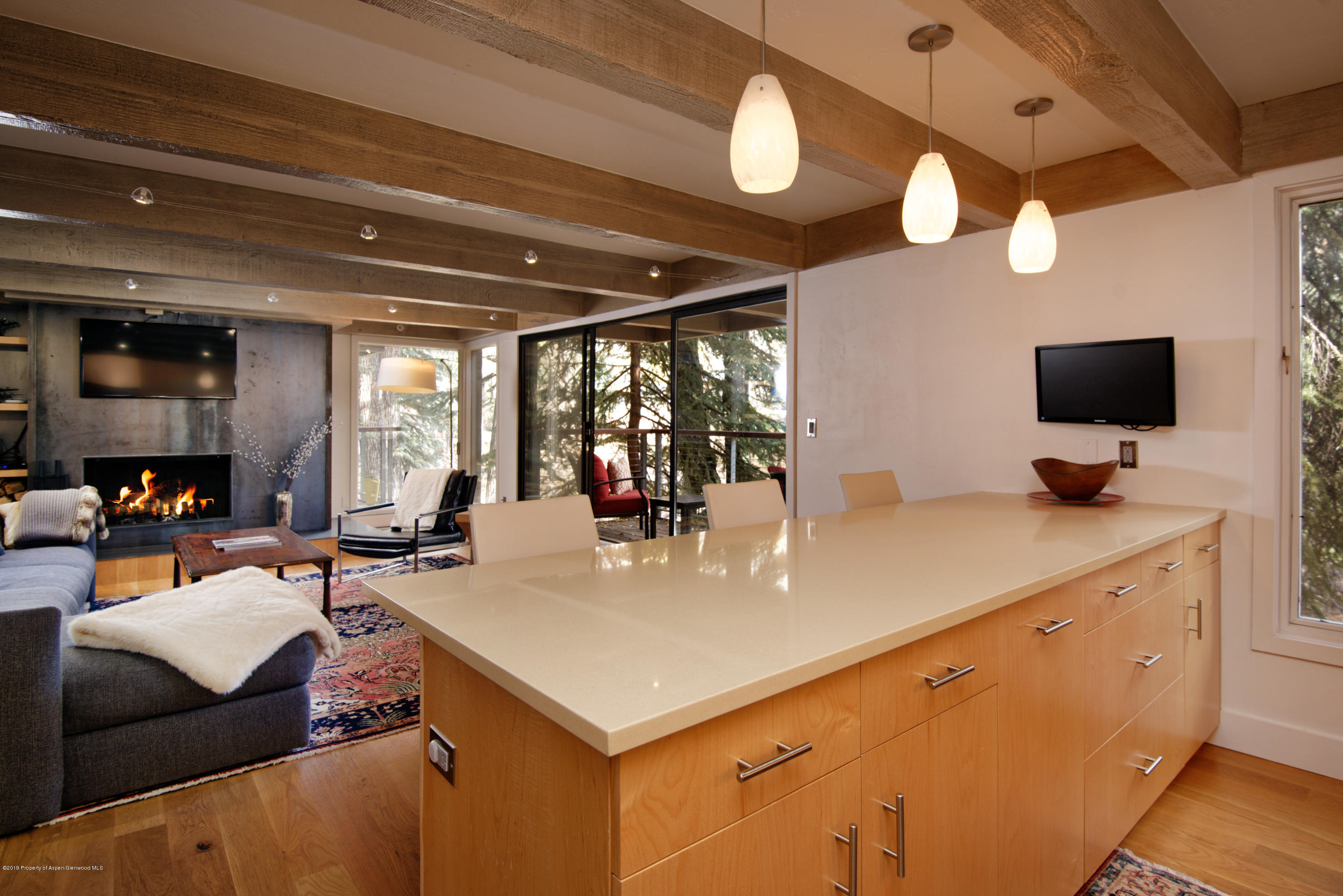 1034 E Cooper Avenue Aspen CO 81611