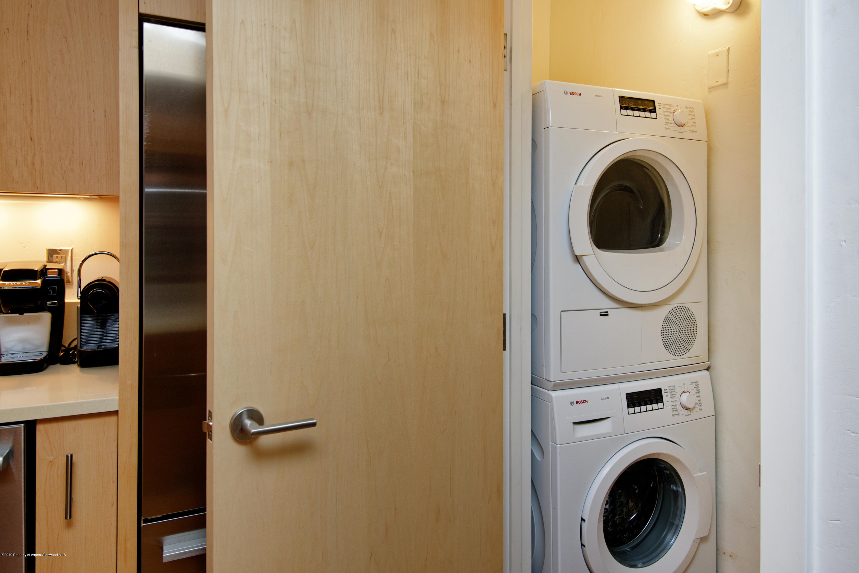 1034 E Cooper Avenue Aspen CO 81611