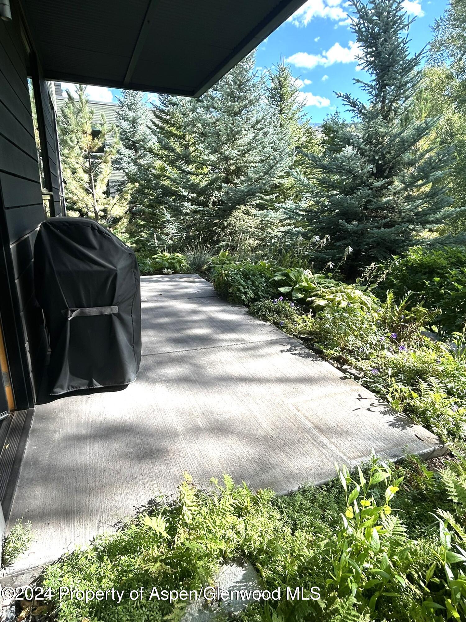 200 Evans Road Basalt CO 81621