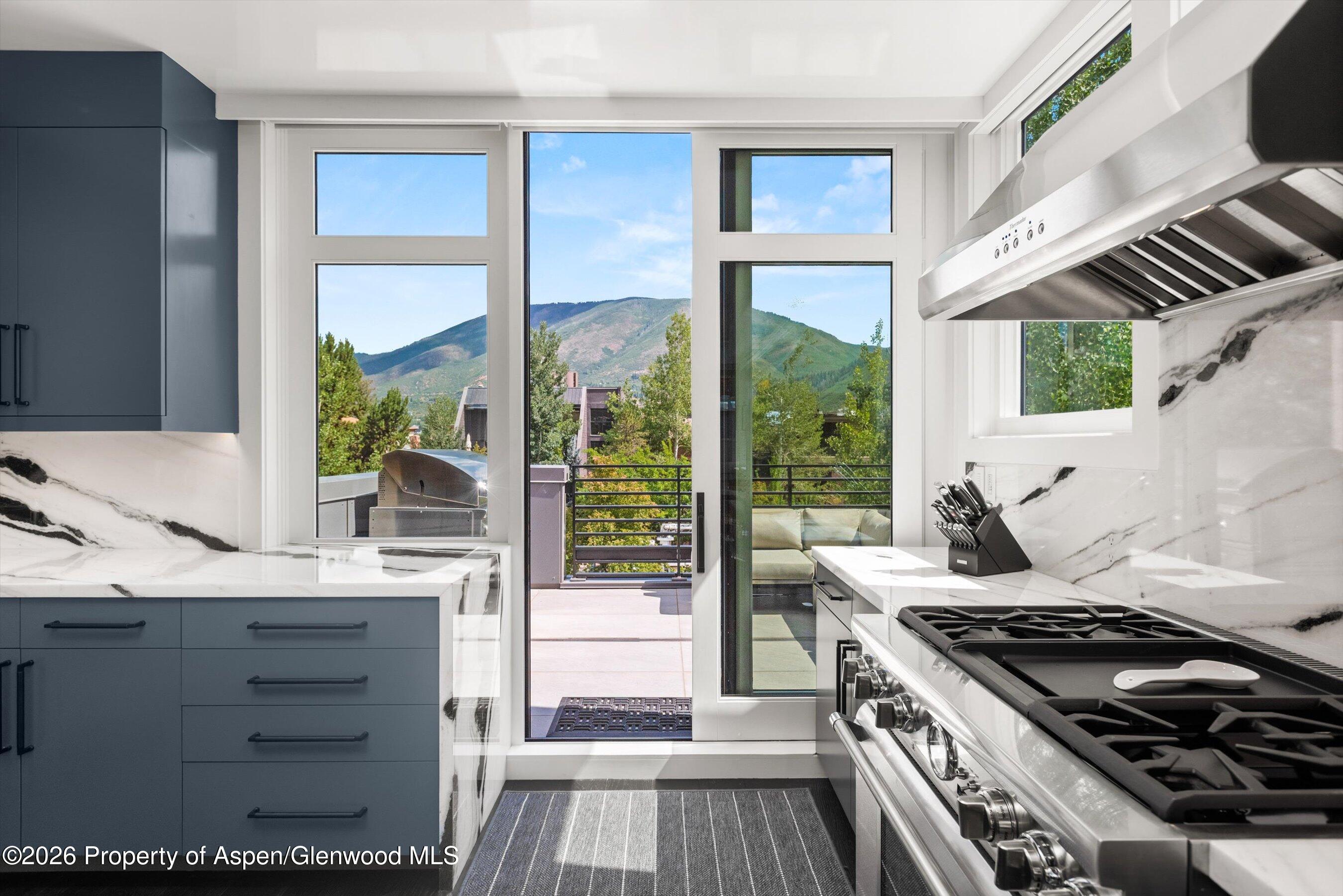 627 E Hopkins Avenue Aspen CO 81611