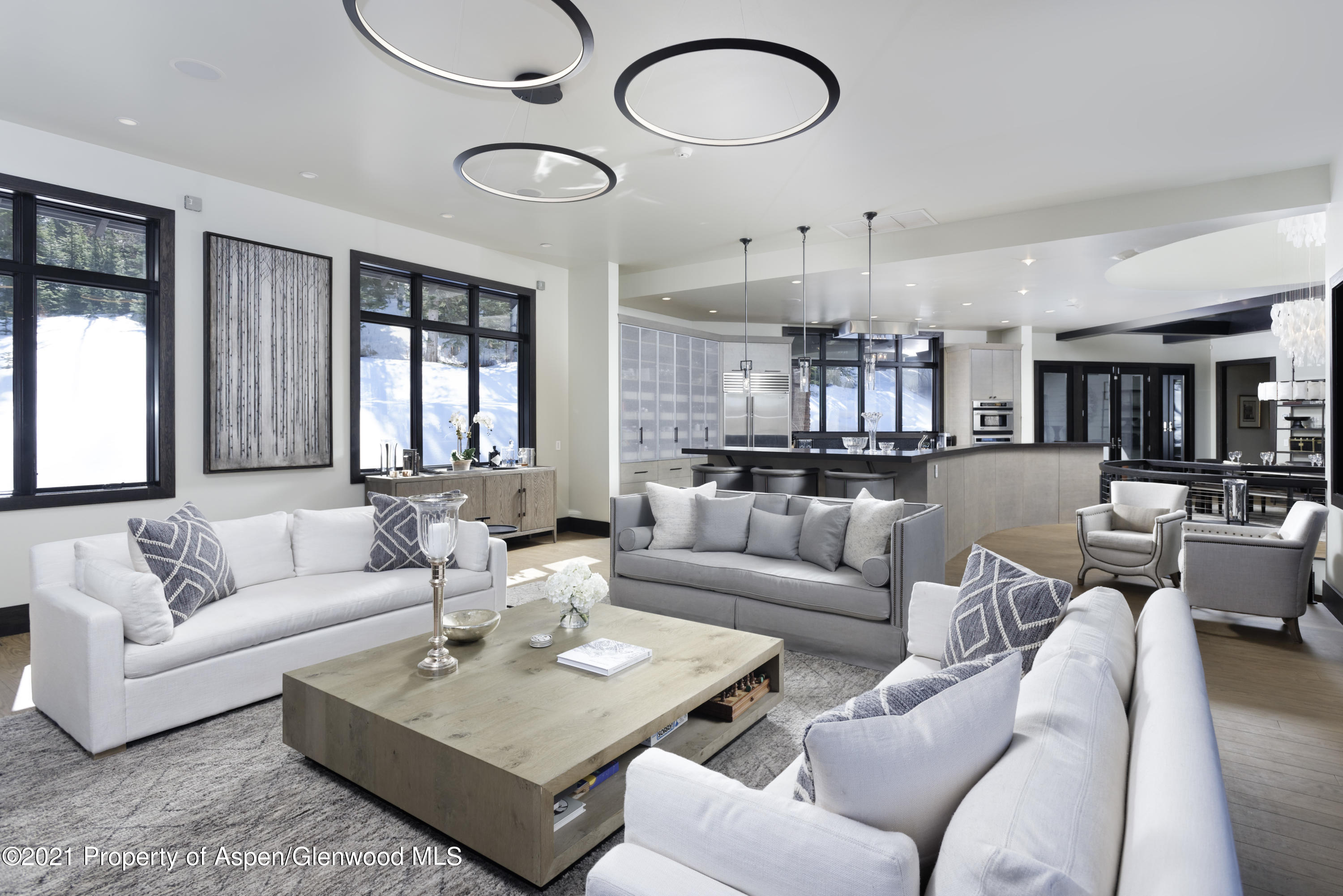 32 Elk Ridge Lane Snowmass Village CO 81615