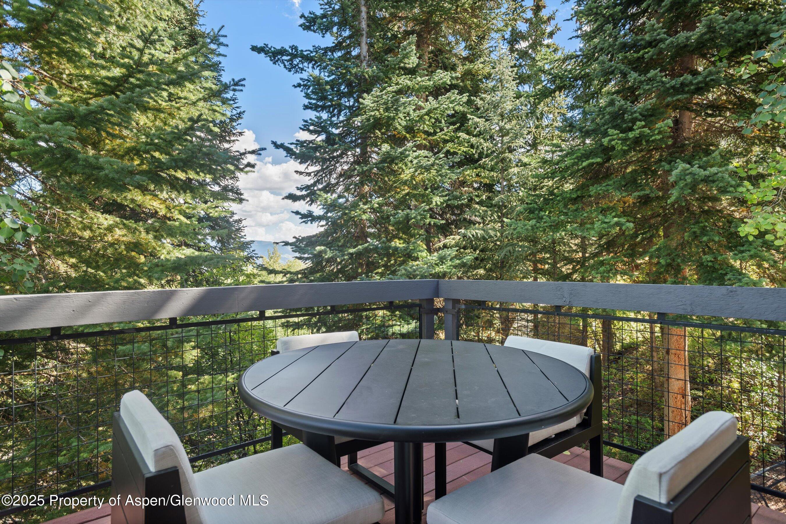32 Elk Ridge Lane Snowmass Village CO 81615