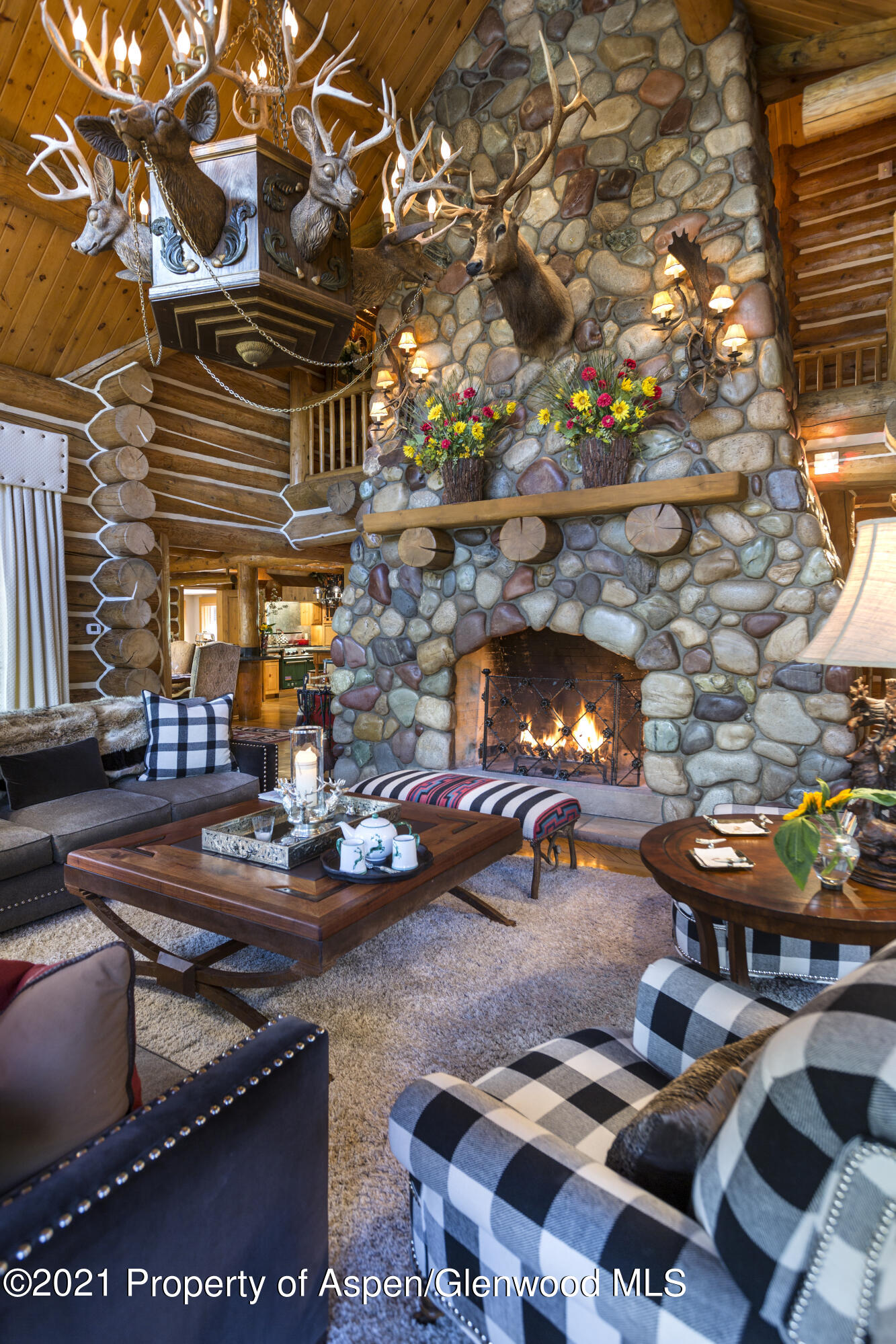 770 Twining Flats Road Woody Creek CO 81656