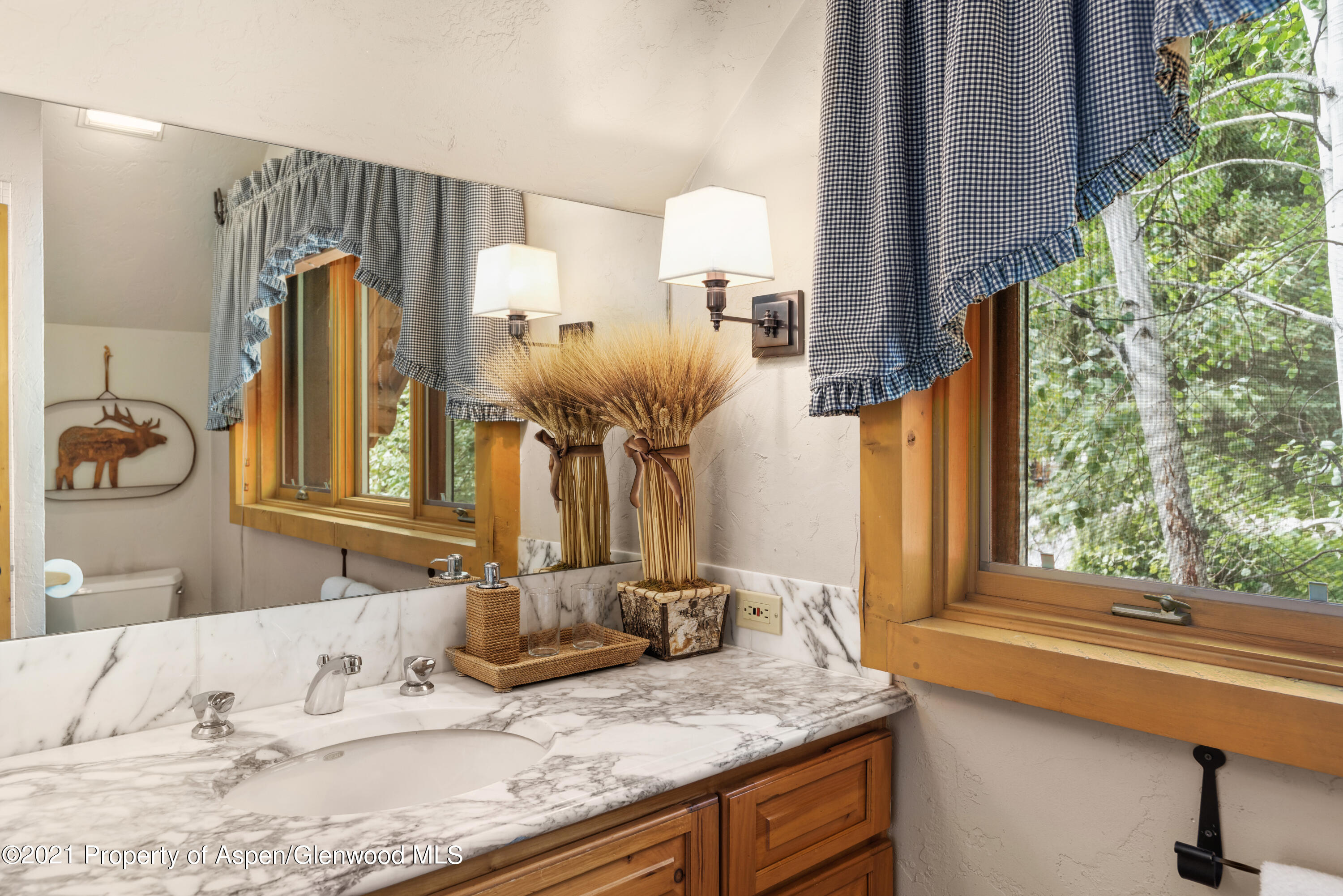 770 Twining Flats Road Woody Creek CO 81656