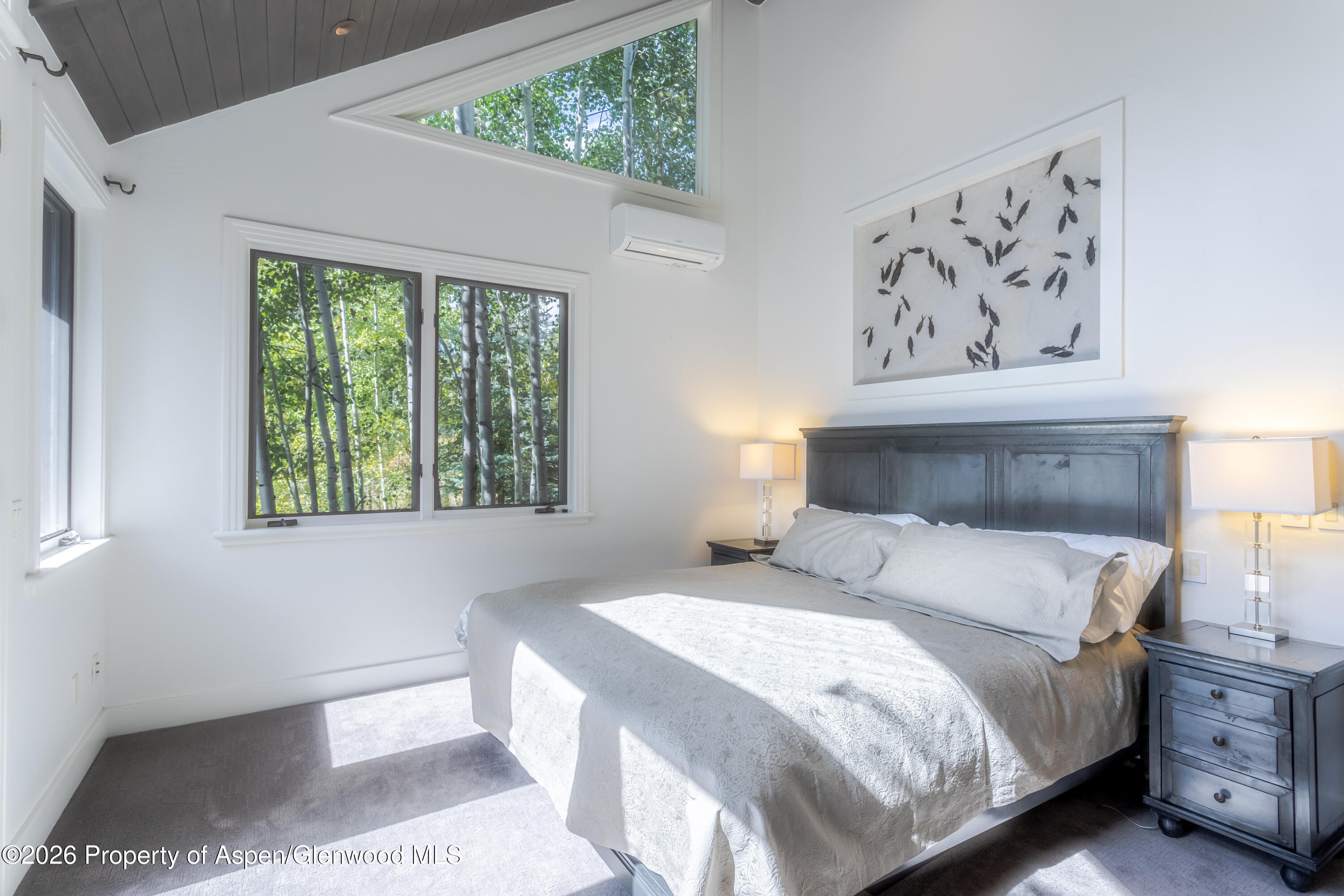 387 Silverlode Drive Aspen CO 81611