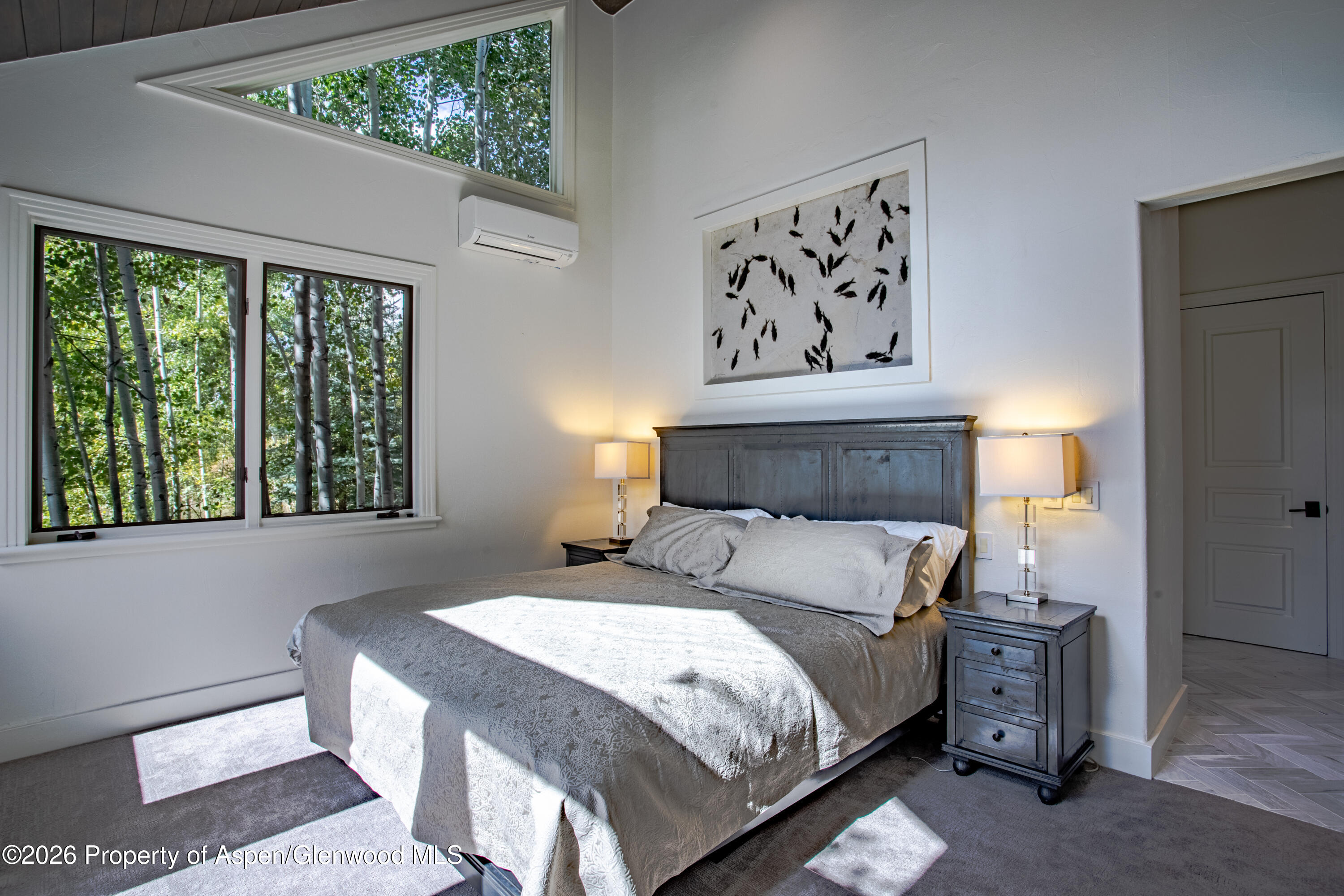 387 Silverlode Drive Aspen CO 81611