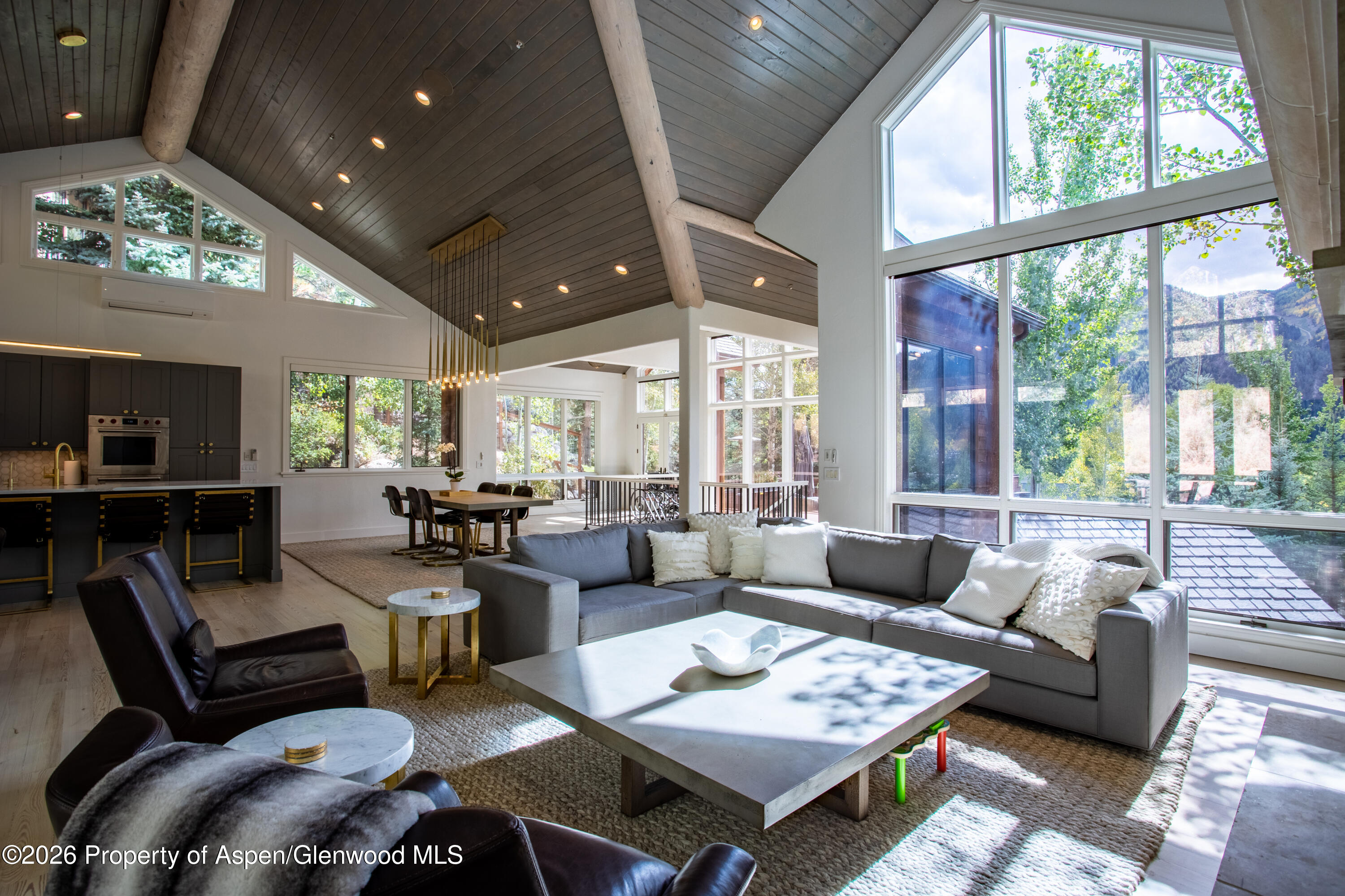 387 Silverlode Drive Aspen CO 81611
