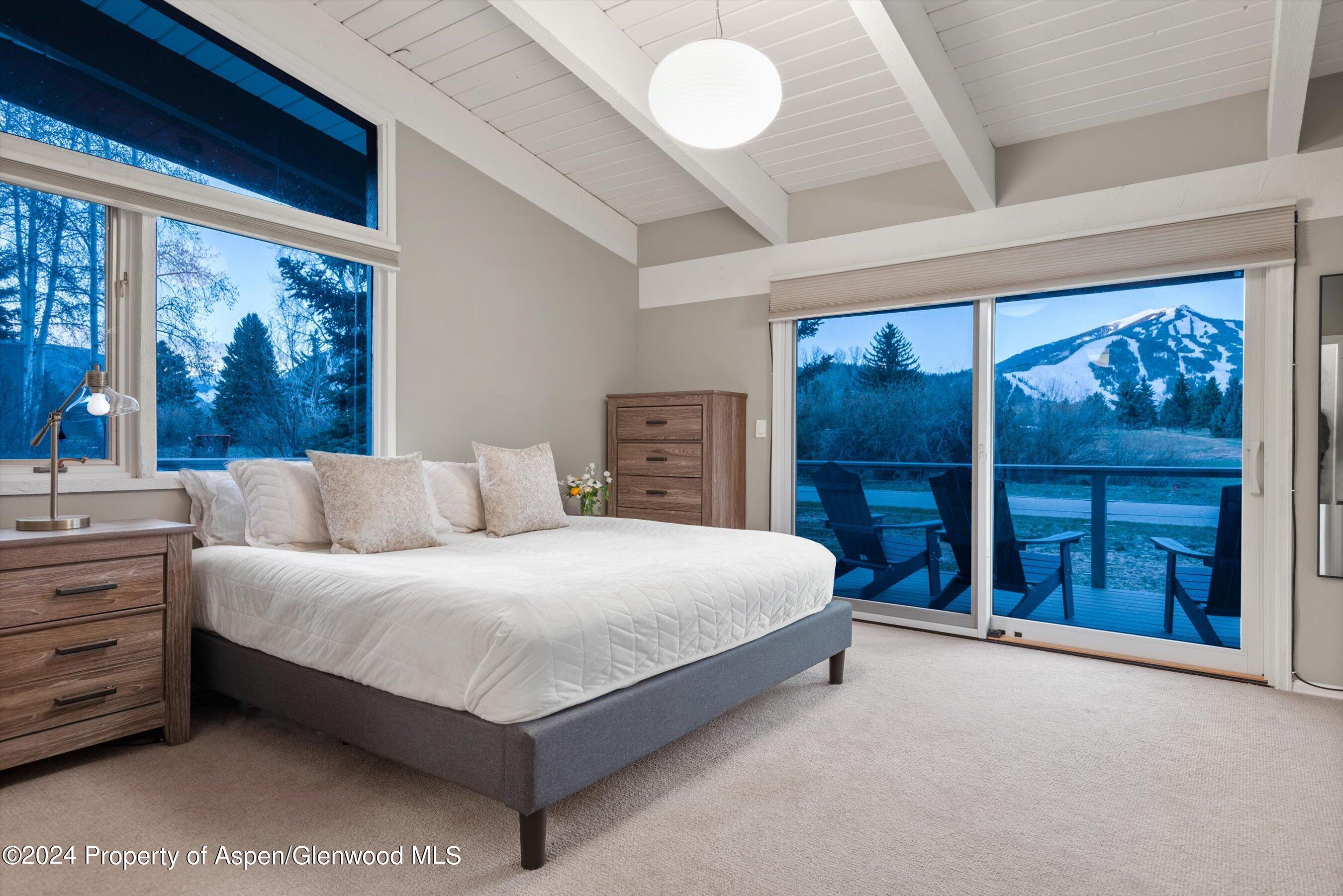 1650 Homestake Drive Aspen CO 81611