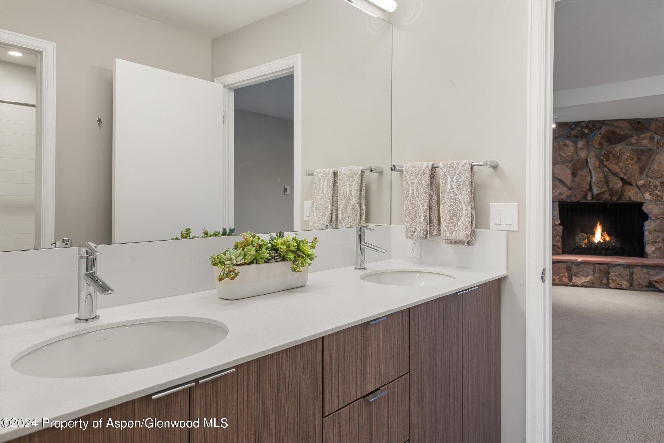 1650 Homestake Drive Aspen CO 81611