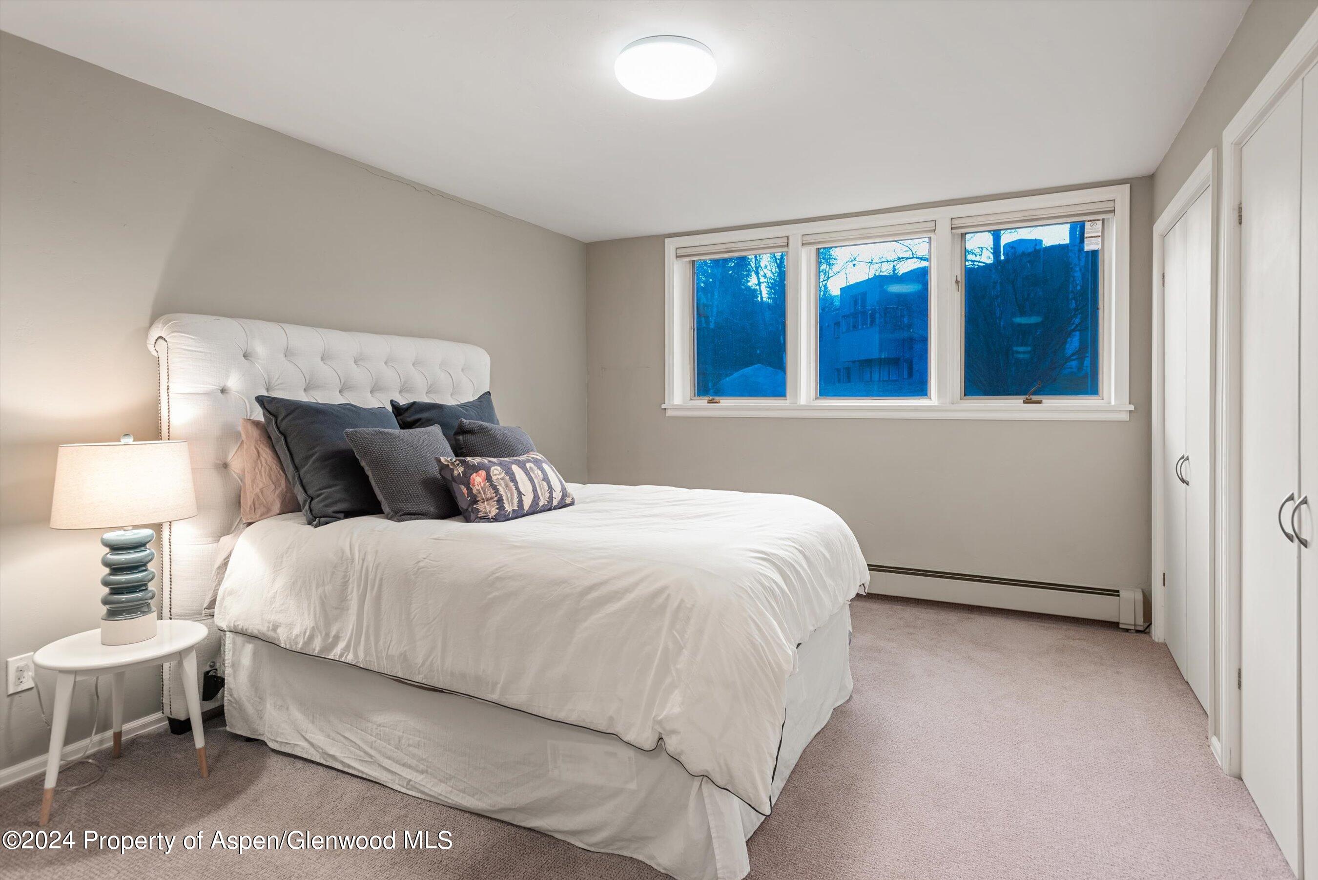 1650 Homestake Drive Aspen CO 81611