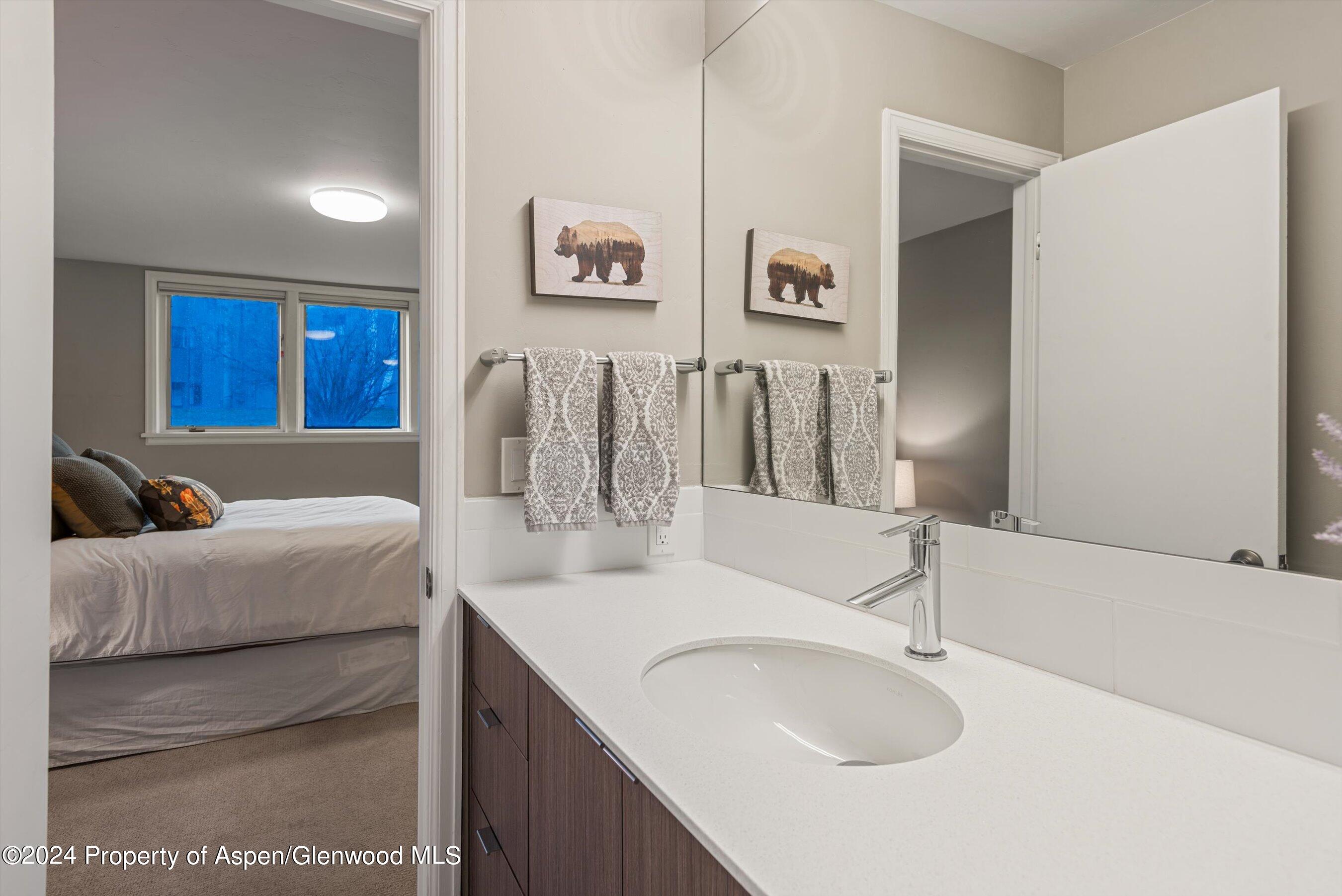 1650 Homestake Drive Aspen CO 81611