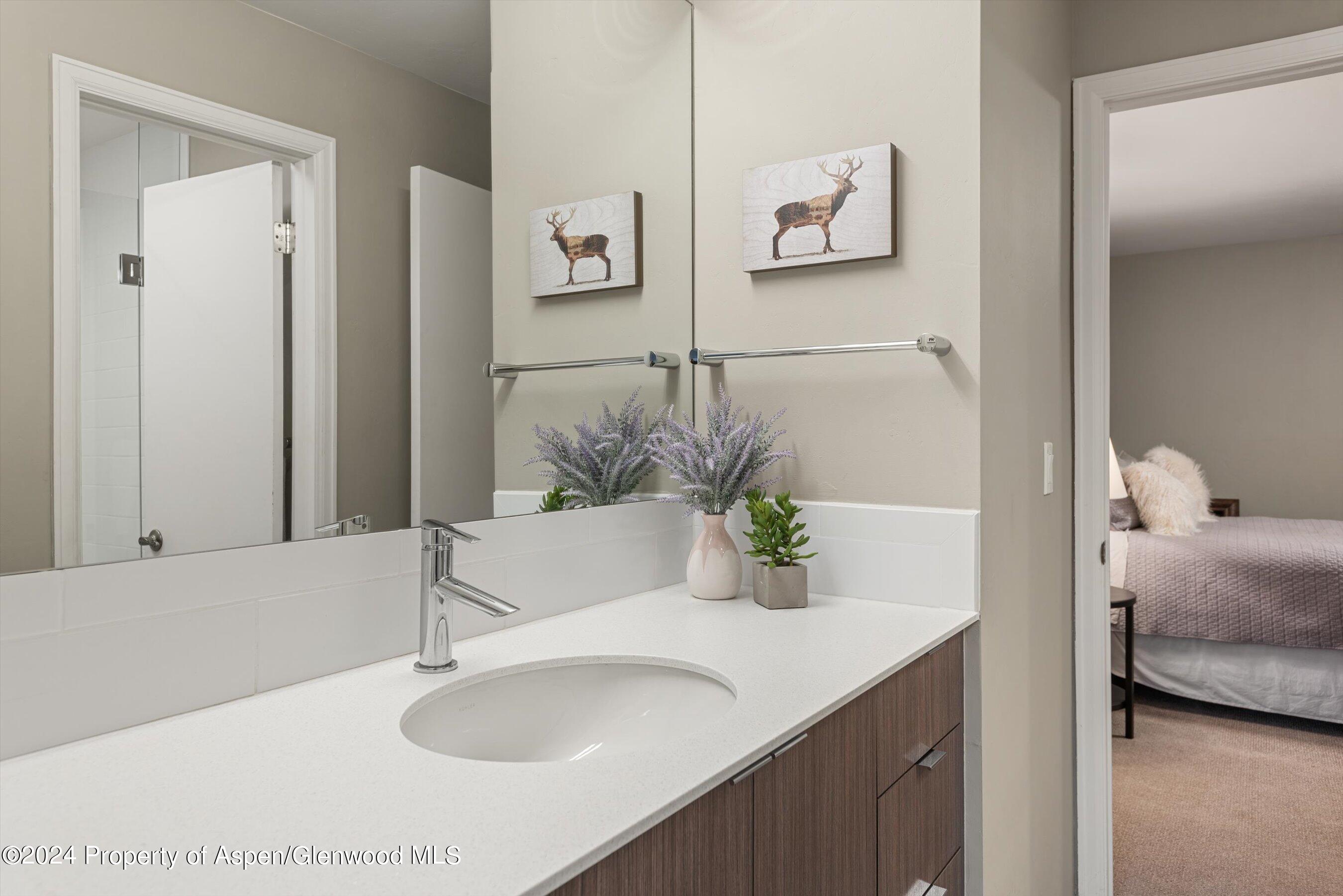 1650 Homestake Drive Aspen CO 81611