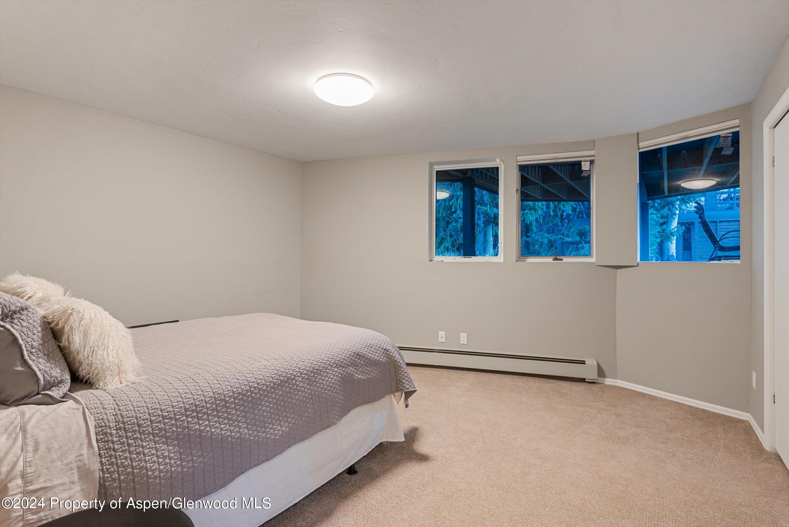 1650 Homestake Drive Aspen CO 81611