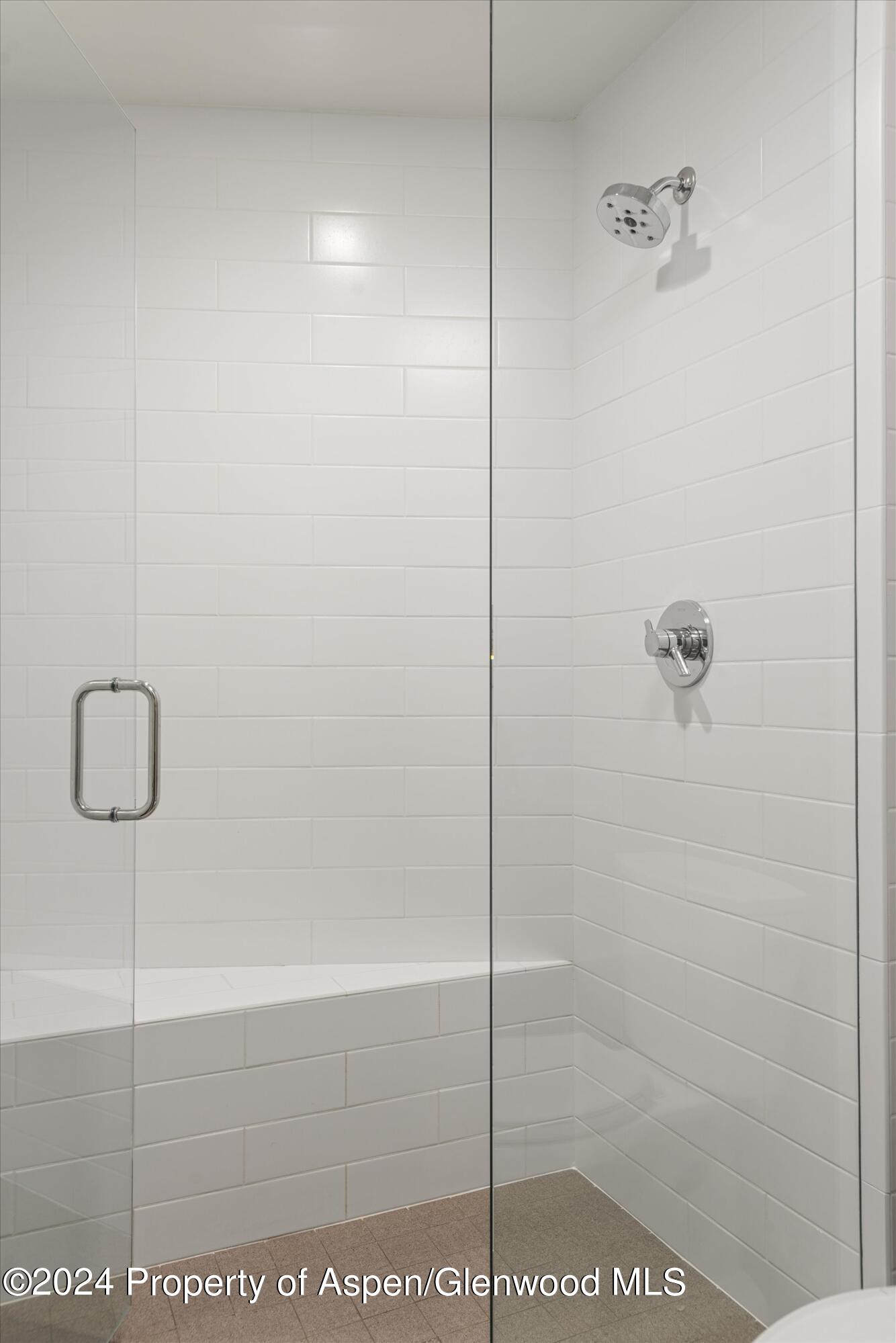 1650 Homestake Drive Aspen CO 81611